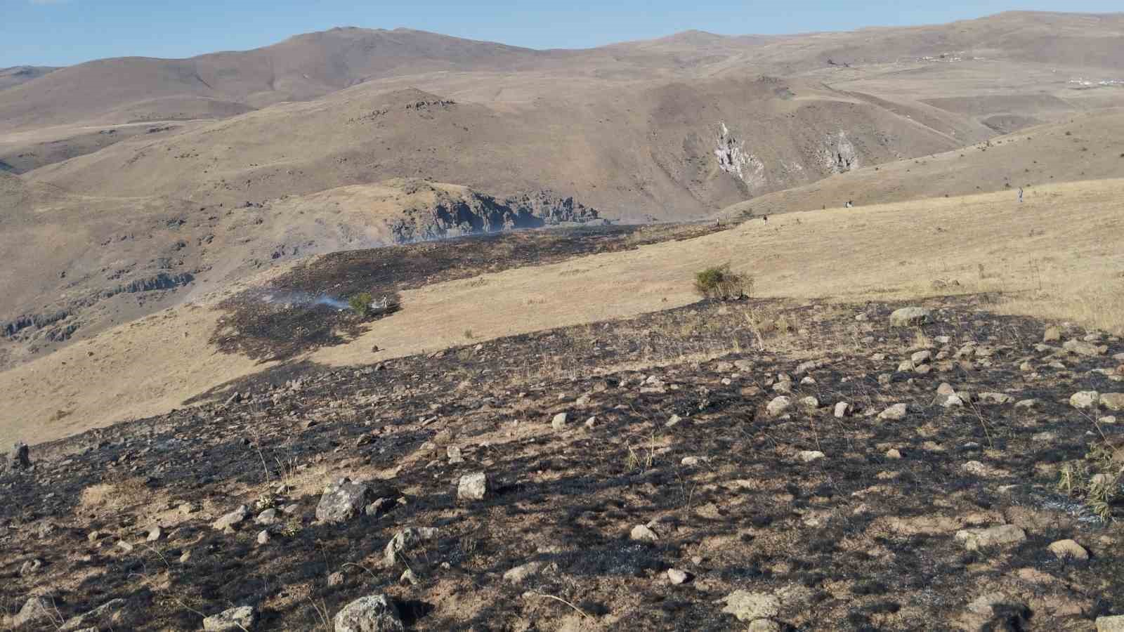 Erzurum’da korkutan ot yangını