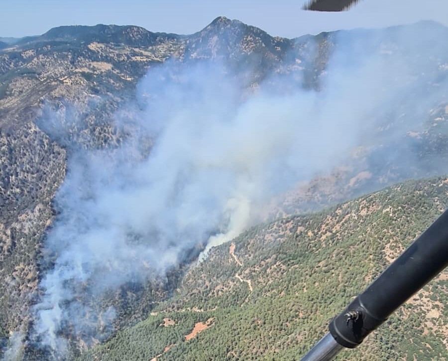 Ot temizlemek isterken ormanı yakan 3 şüpheli gözaltına alındı