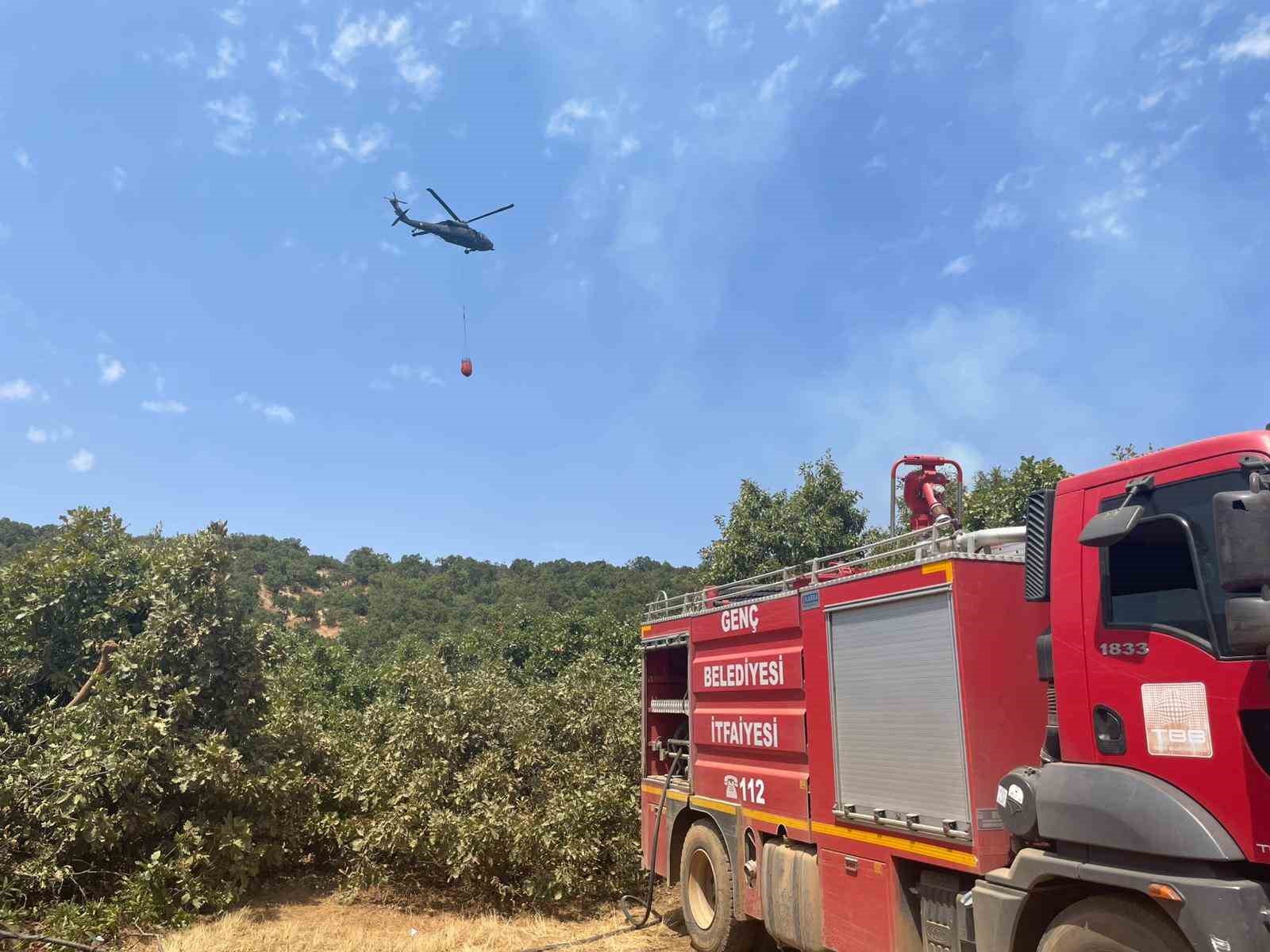 Bingöl’de orman yangını: Havadan karadan müdahale sürüyor