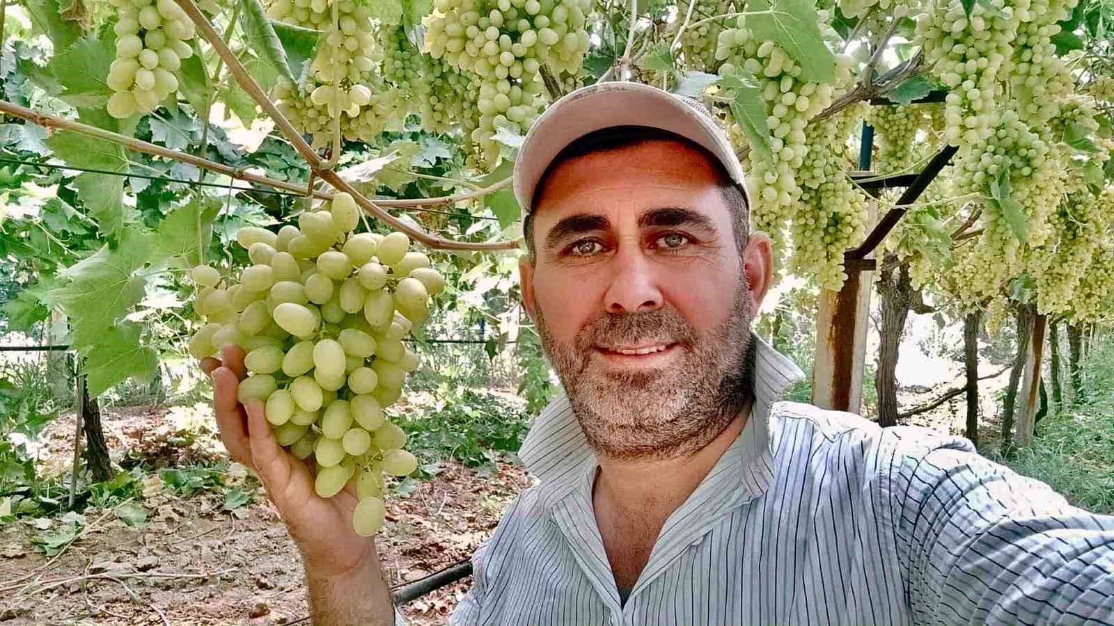 Kaliteli üzüm üretimiyle Sarıgöl’de örnek bağ