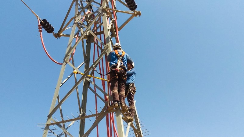 Fırat EDAŞ,  kesintisiz enerji arzını ve leylekleri güvence altına alıyor