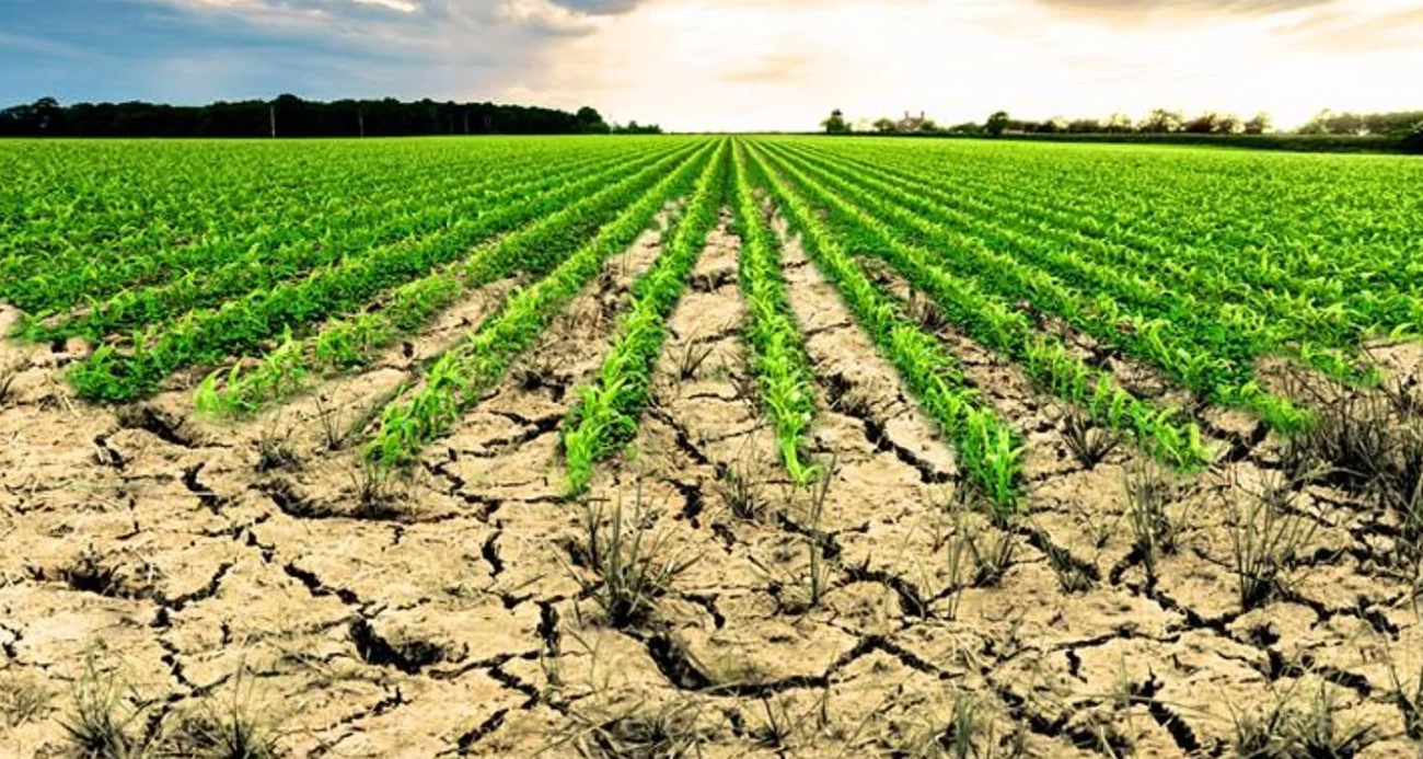 İşlenmeyen araziler kiralama modeliyle kırsal ekonomiye can verecek