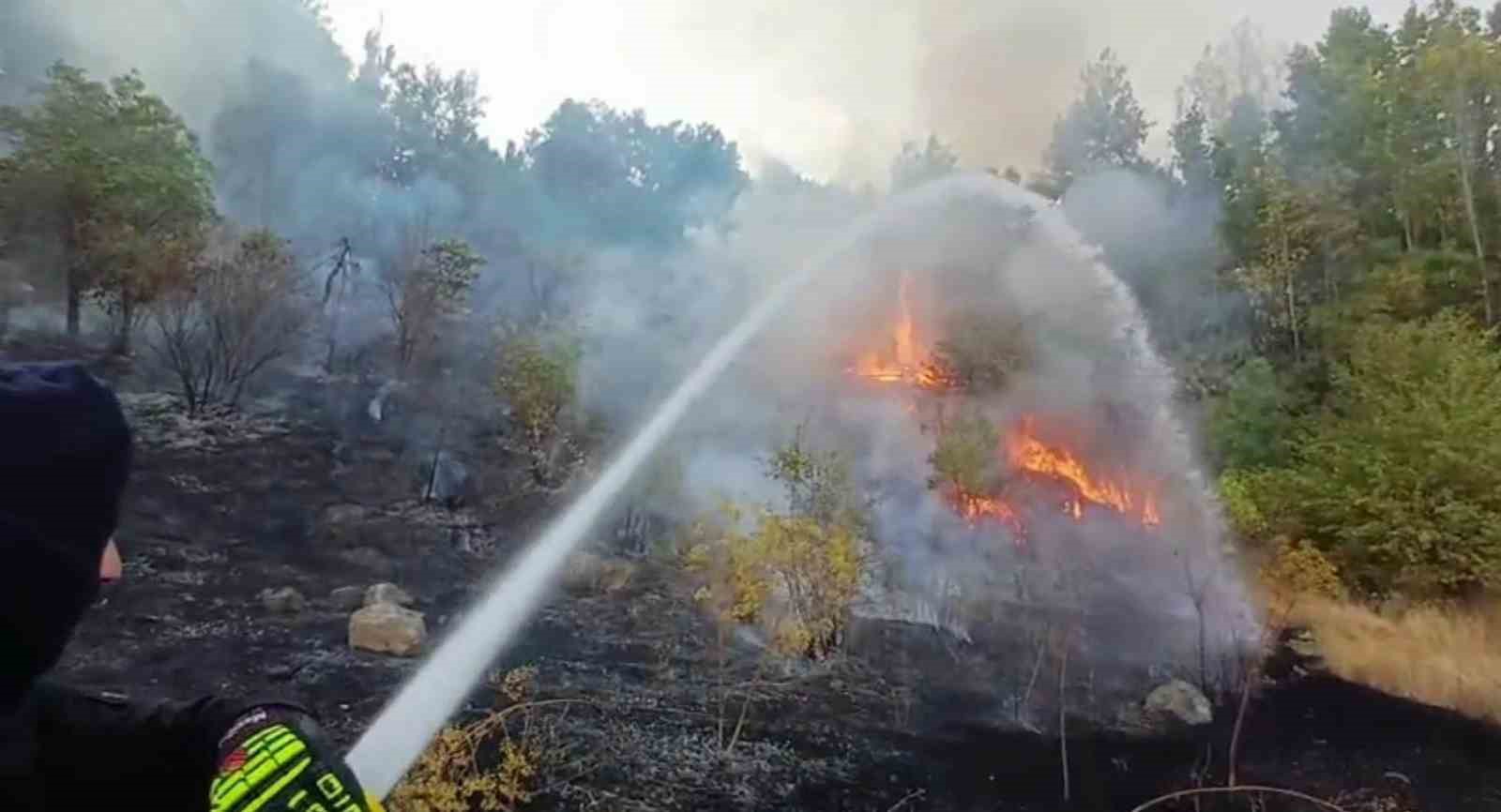 Hakkari’de 3 farklı bölgede çıkan yangın itfaiye ekiplerince söndürüldü