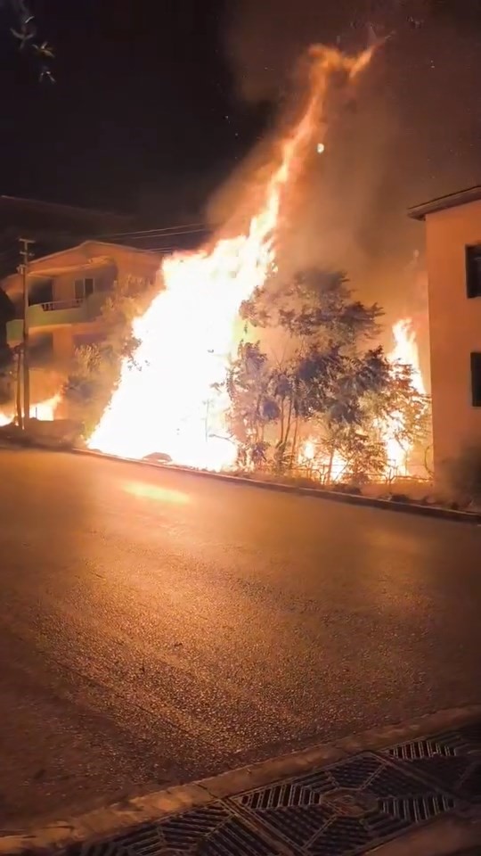 Bursa’da alev alan ağaçlar villaları böyle tehdit etti