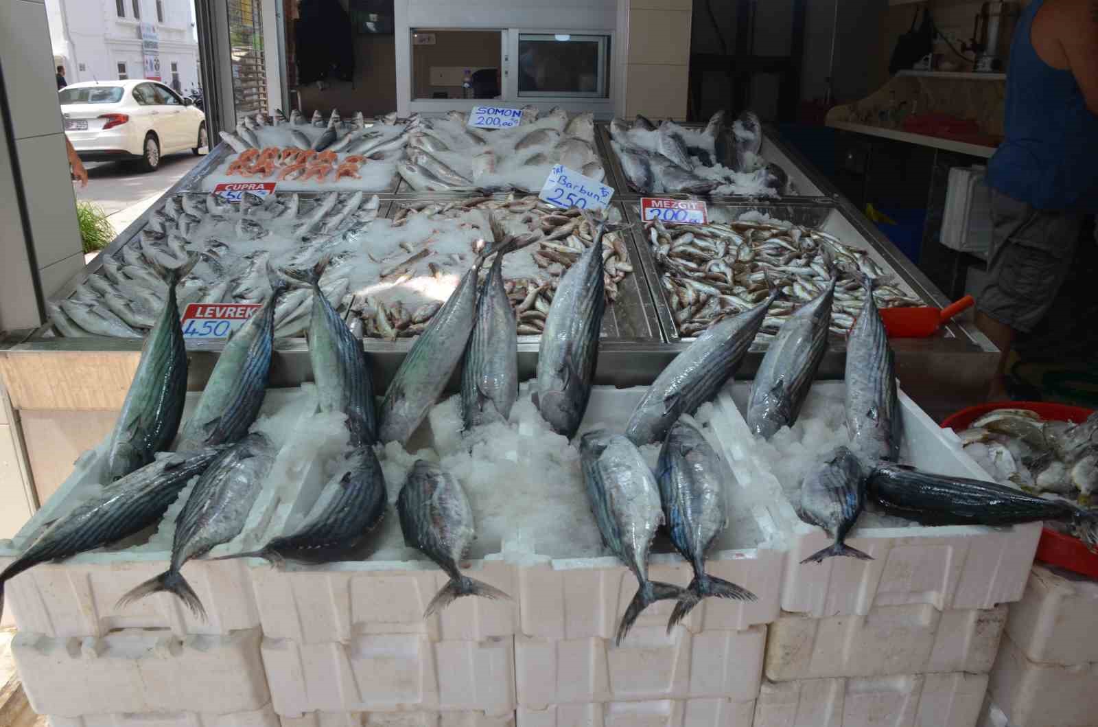 Sinop’ta torik bolluğu: Tanesi 800 TL