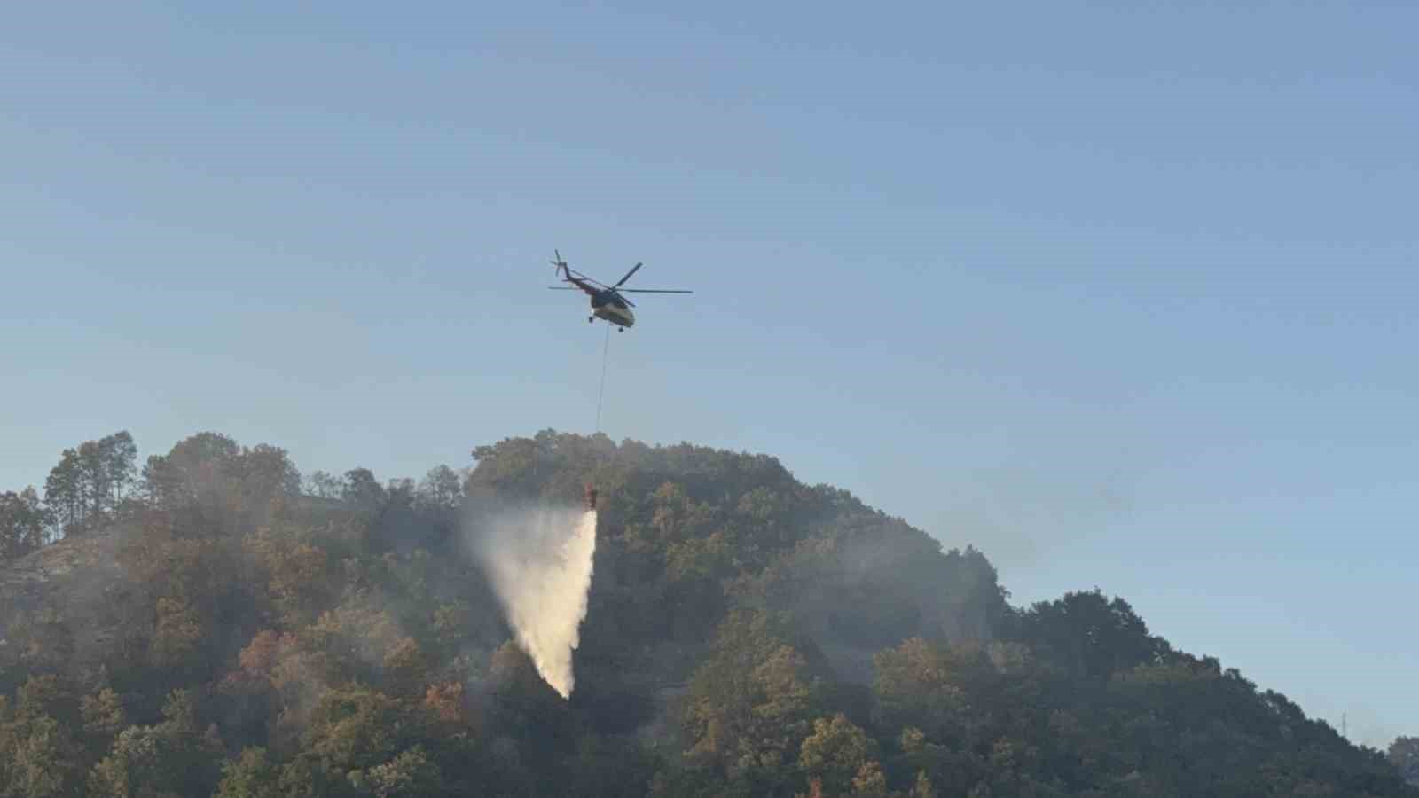Düzce’deki orman yangını kısmen kontrol altına alındı