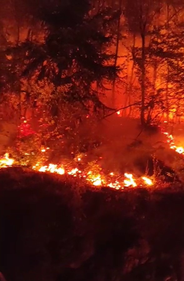 Düzce’de bir bölgede daha orman yangını çıktı