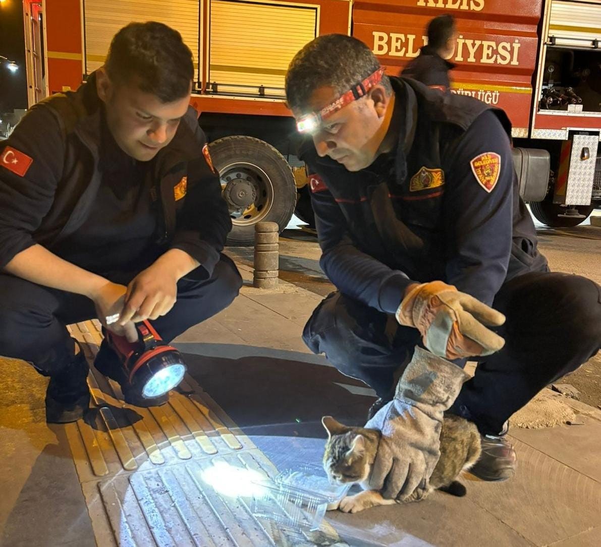 Kilis’te 3 gündür ağaçta mahsur kalan kedi kurtarıldı