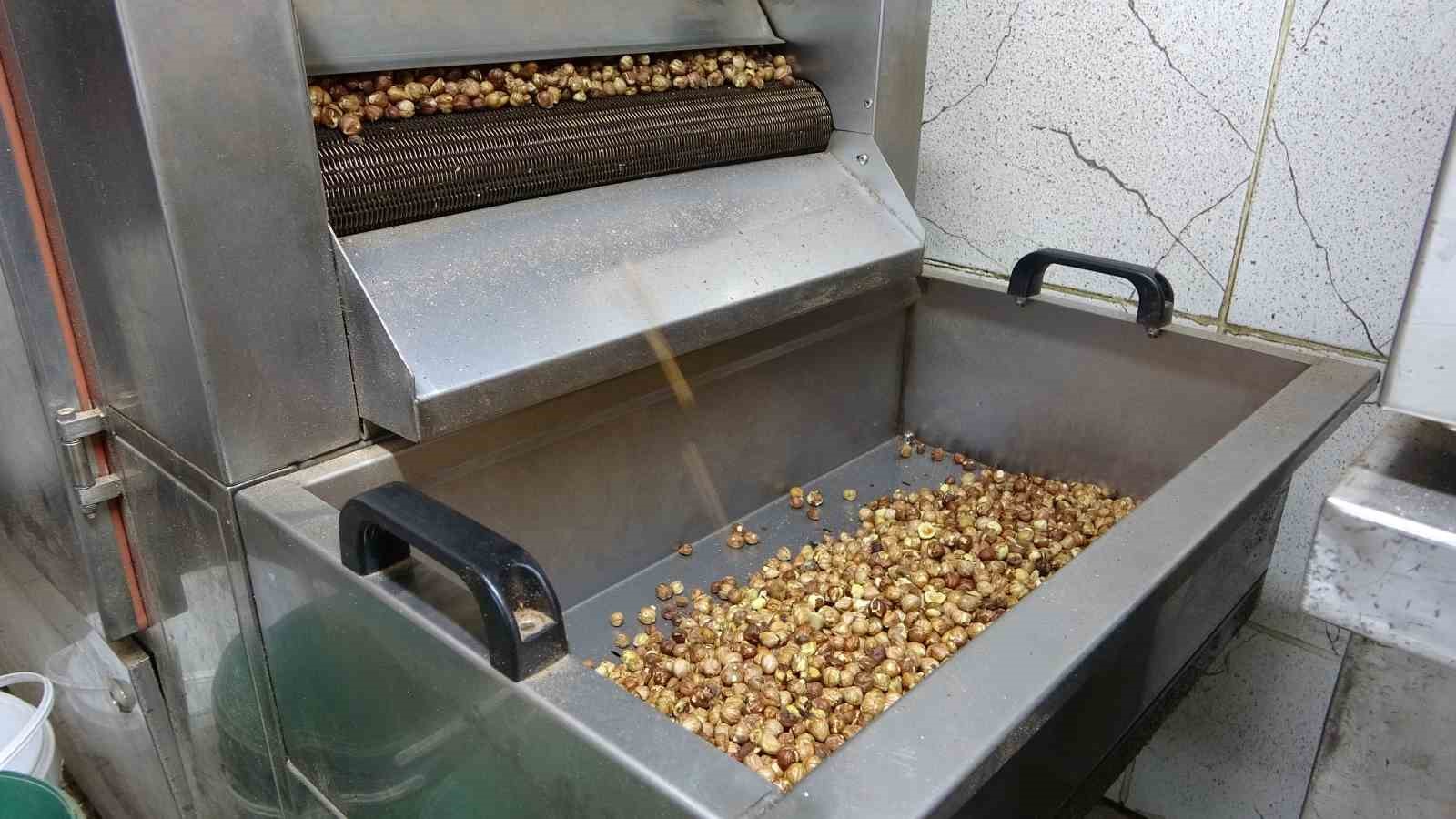 Karadeniz’de fındık hasadı tamamlandı: Üretici kırma ve kavurma işini artık işletmelere bırakıyor