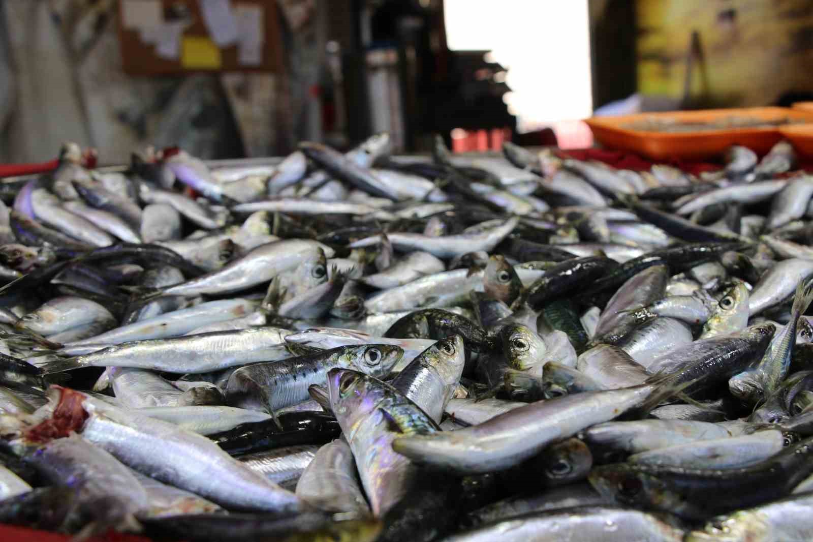 Uşak’ta balık tezgahları doldu