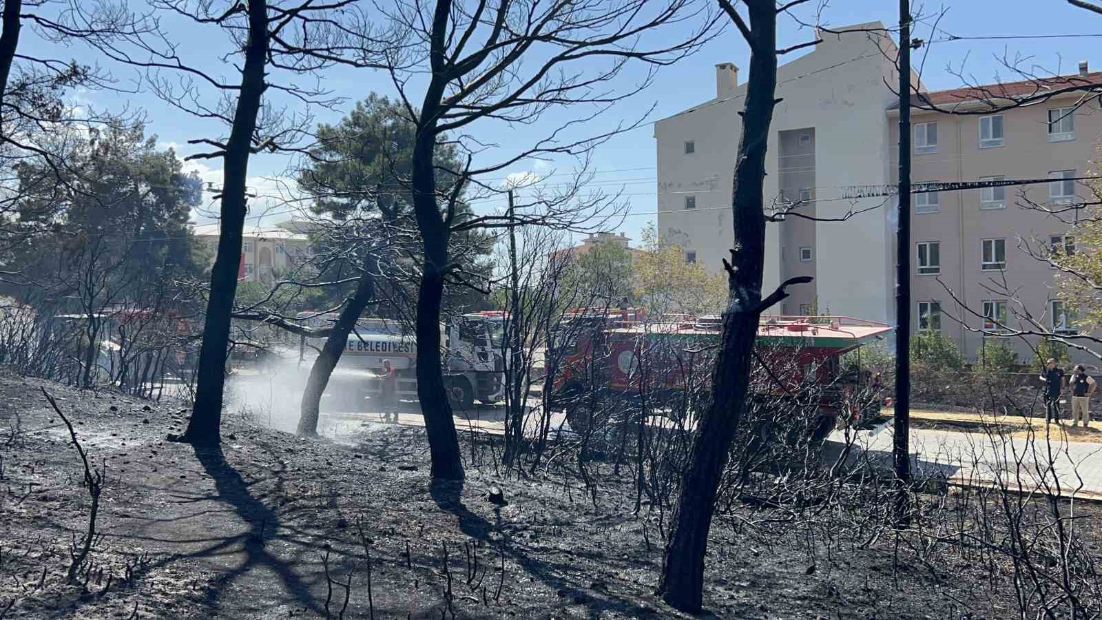 Çanakkale’de çıkan orman yangını kontrol altına alındı, okullar ve pansiyonlar ucuz kurtuldu