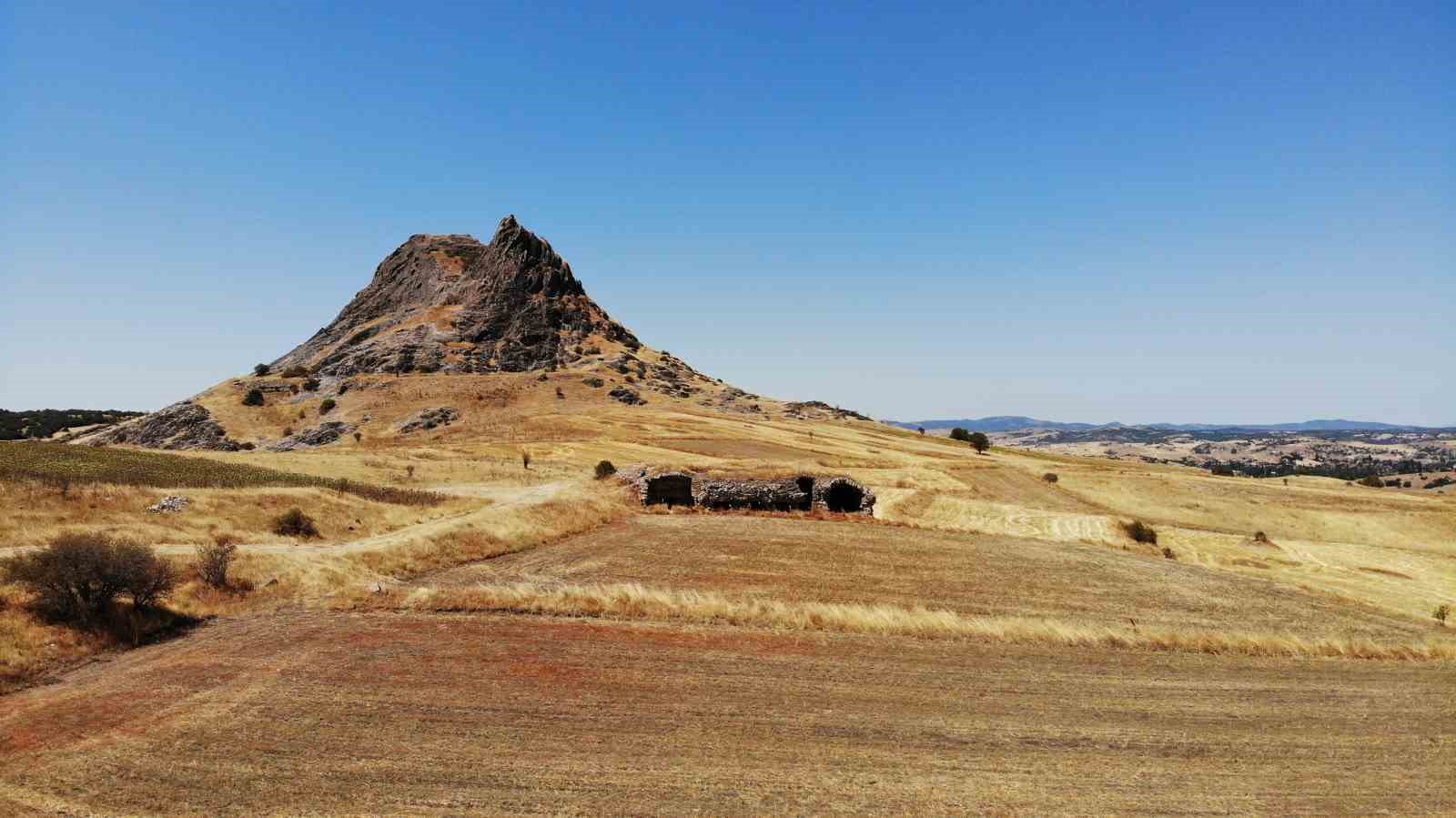 Prof. Dr. Mustafa Kemal: 