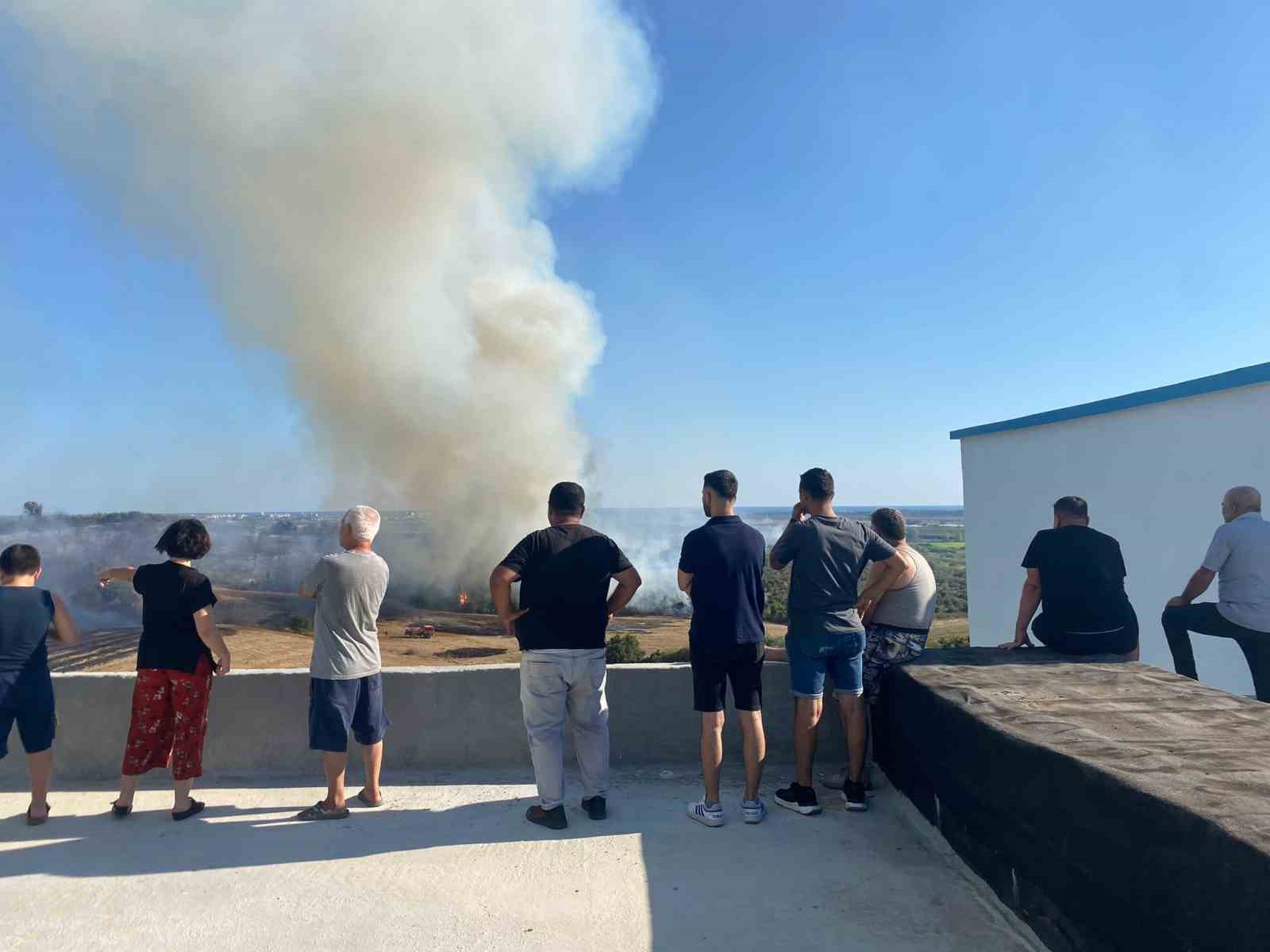 Antalya’da makilik alanda çıkan yangın zeytin ağaçlarına zarar verdi
