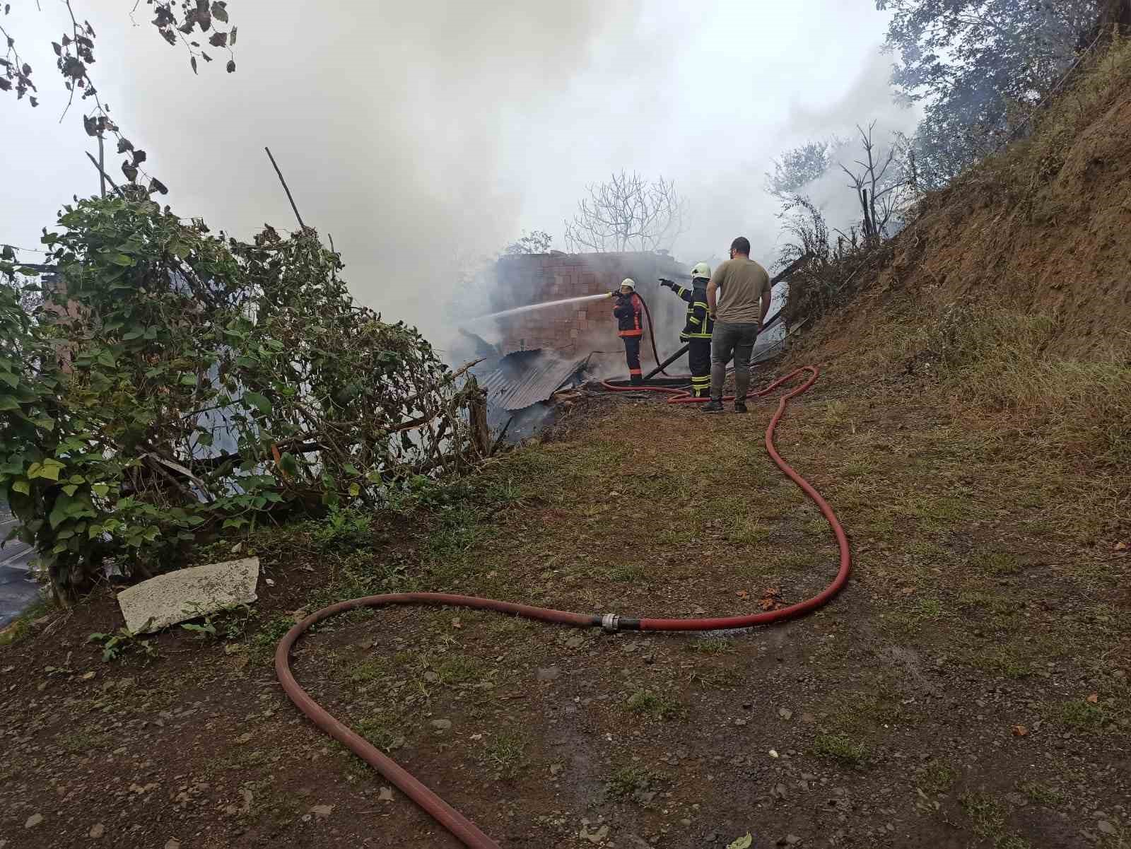 Artvin’de yangın paniği: 4 ev küle döndü