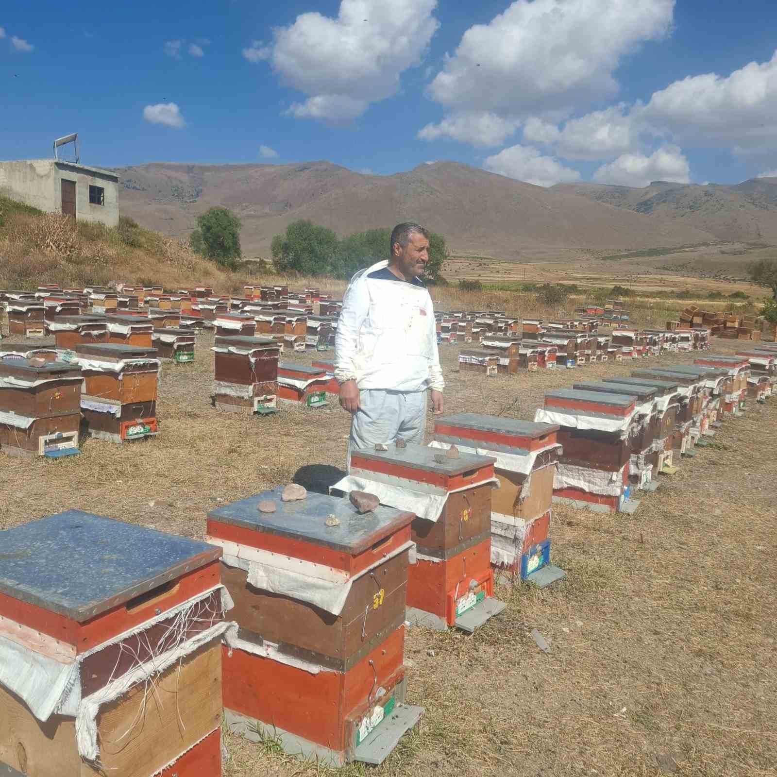 Erzurum’un Çat ilçesinde arıcıların ayı nöbeti