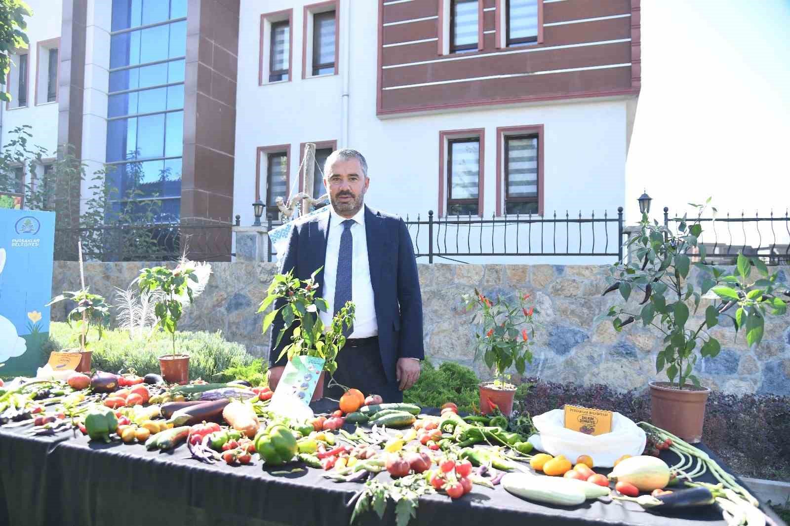 Pursaklar Belediyesi ‘Ata Tohumları’ndan elde ettiği sebzelerin hasadını yaptı