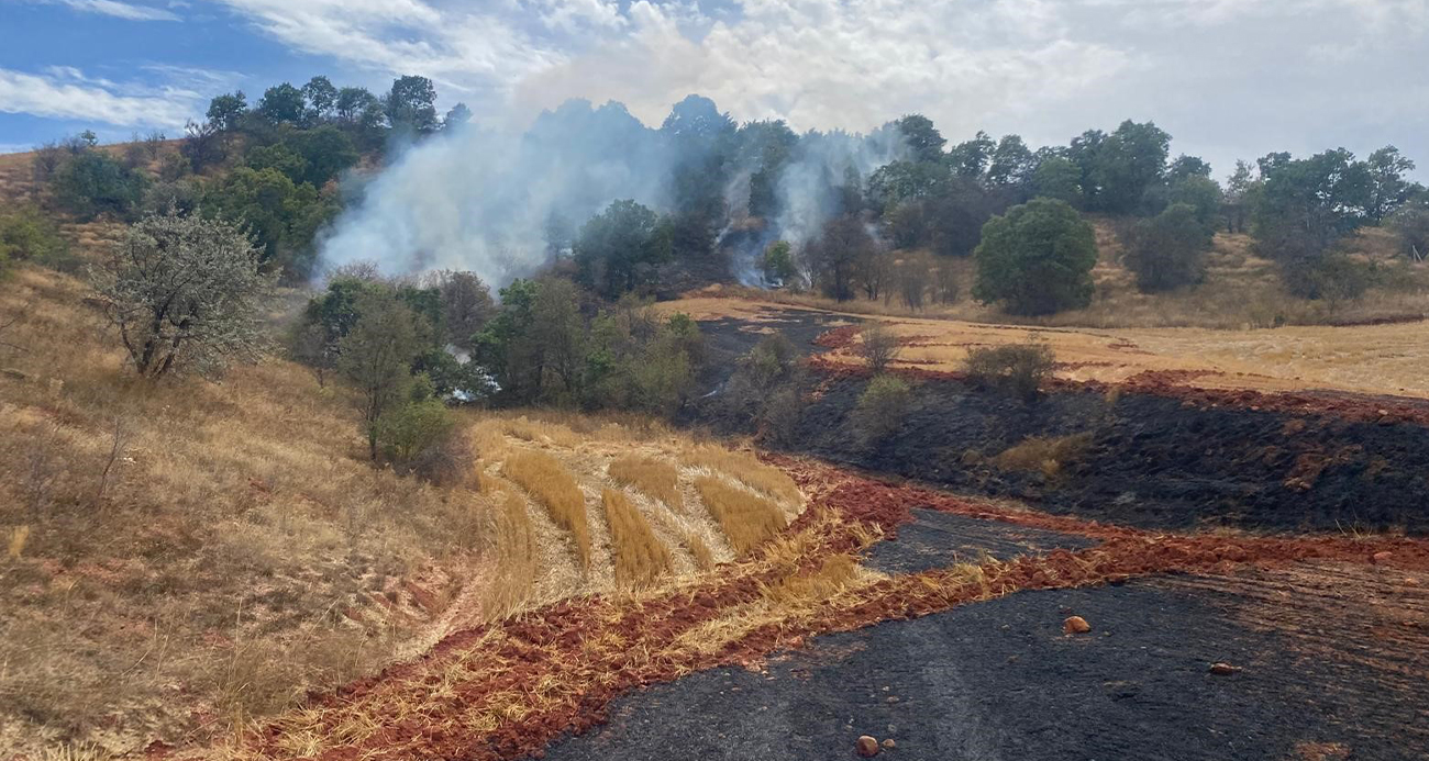 Çorum’da arazi yangını!