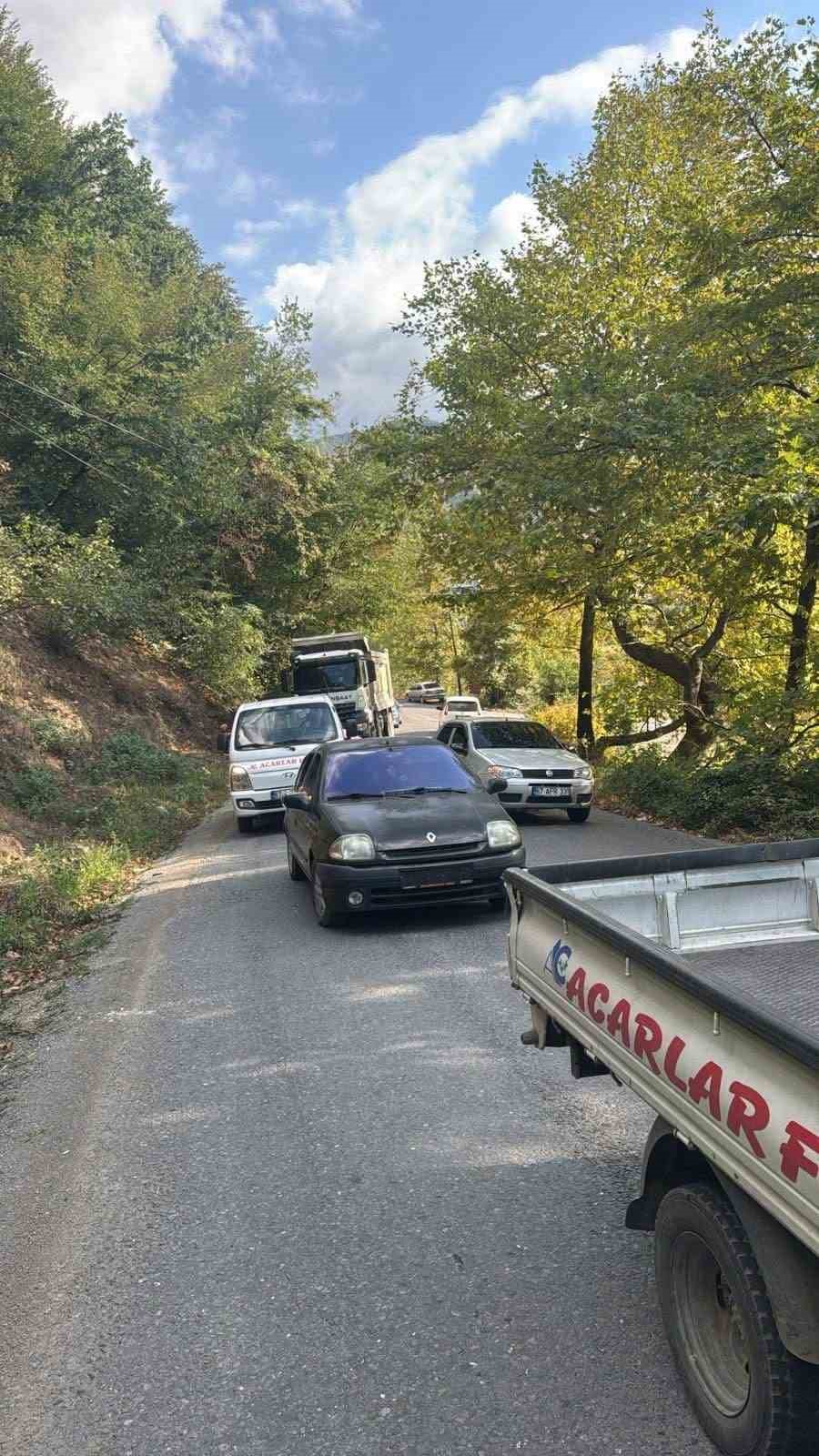 Alaplı’da yola devrilen ağaç, vatandaşlar  tarafından kaldırıldı