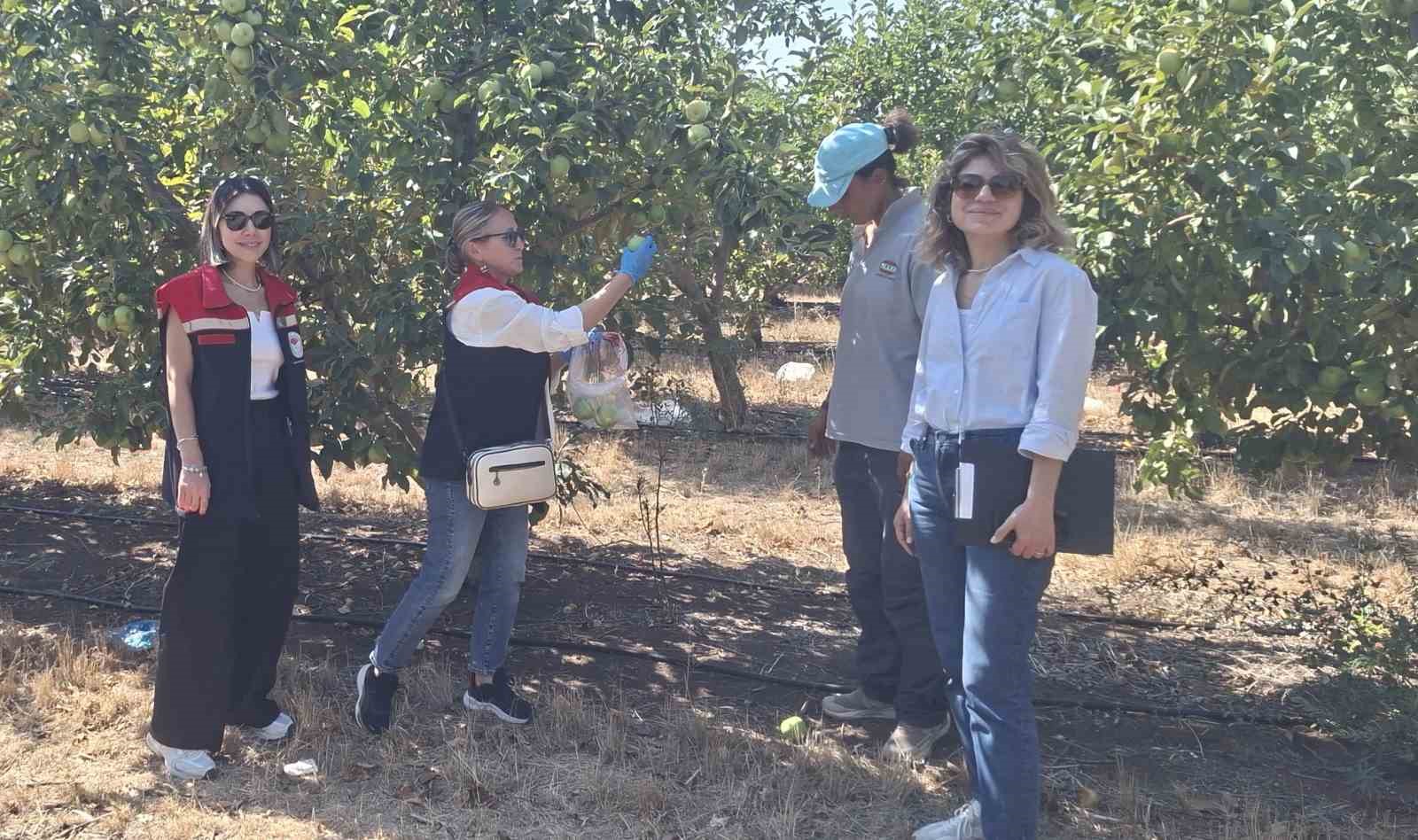 Tekirdağ’da hasat öncesi pestisit denetimleri yapılıyor