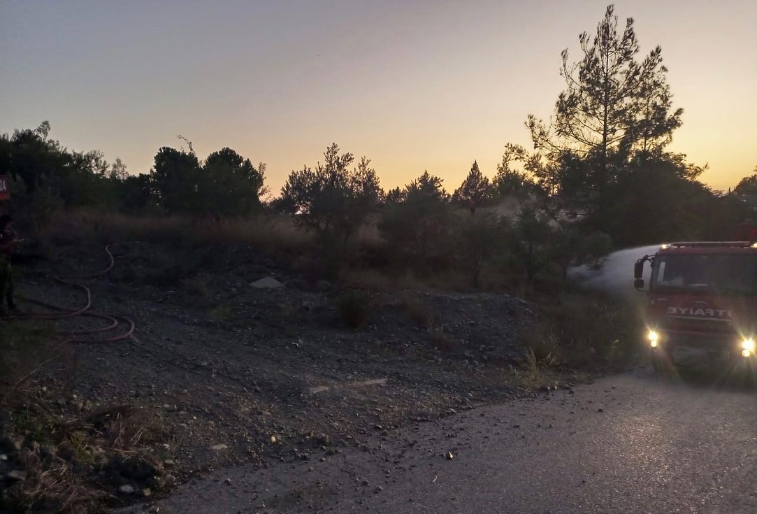 Dörtyol’da orman yangını büyümeden söndürüldü