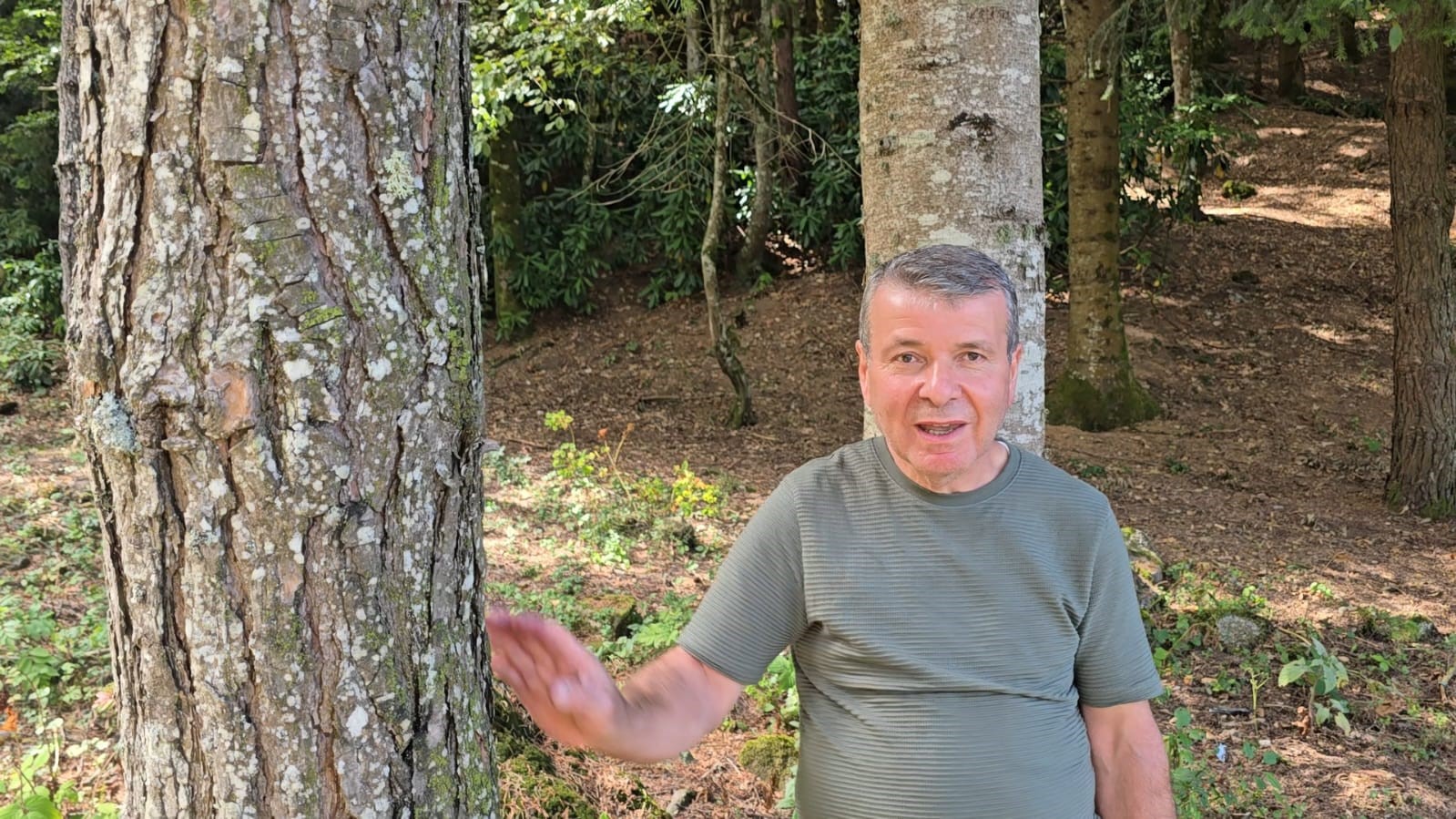 Bin 200 kilometre uzaktan gelip diktiği fidanlar orman oldu