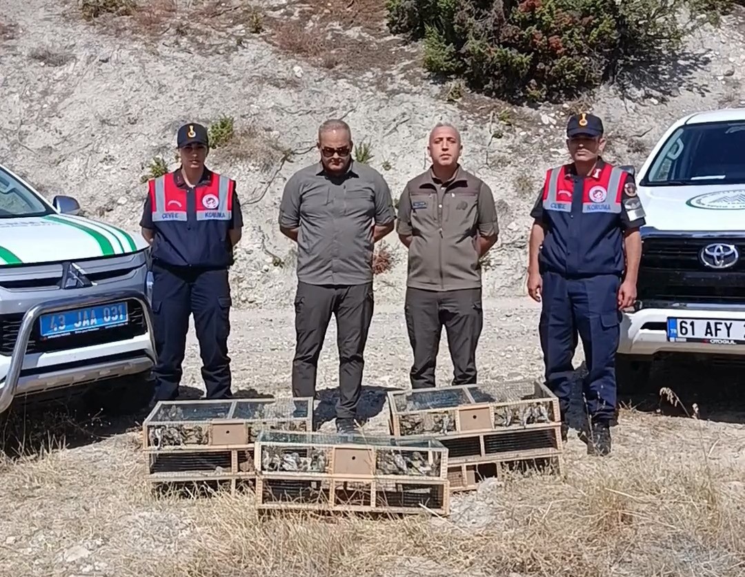 DKMP ekipleri izinsiz yakalanan şaka kuşu ele geçirdi