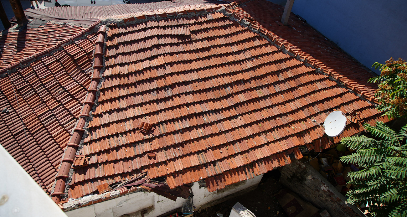 'Kedi kadar büyükler'