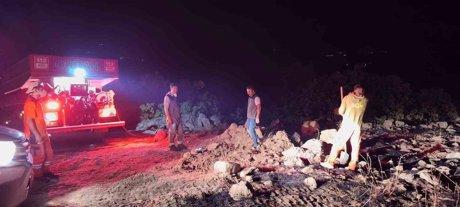 Bingöl’de çıkan orman yangınları kontrol altına alındı