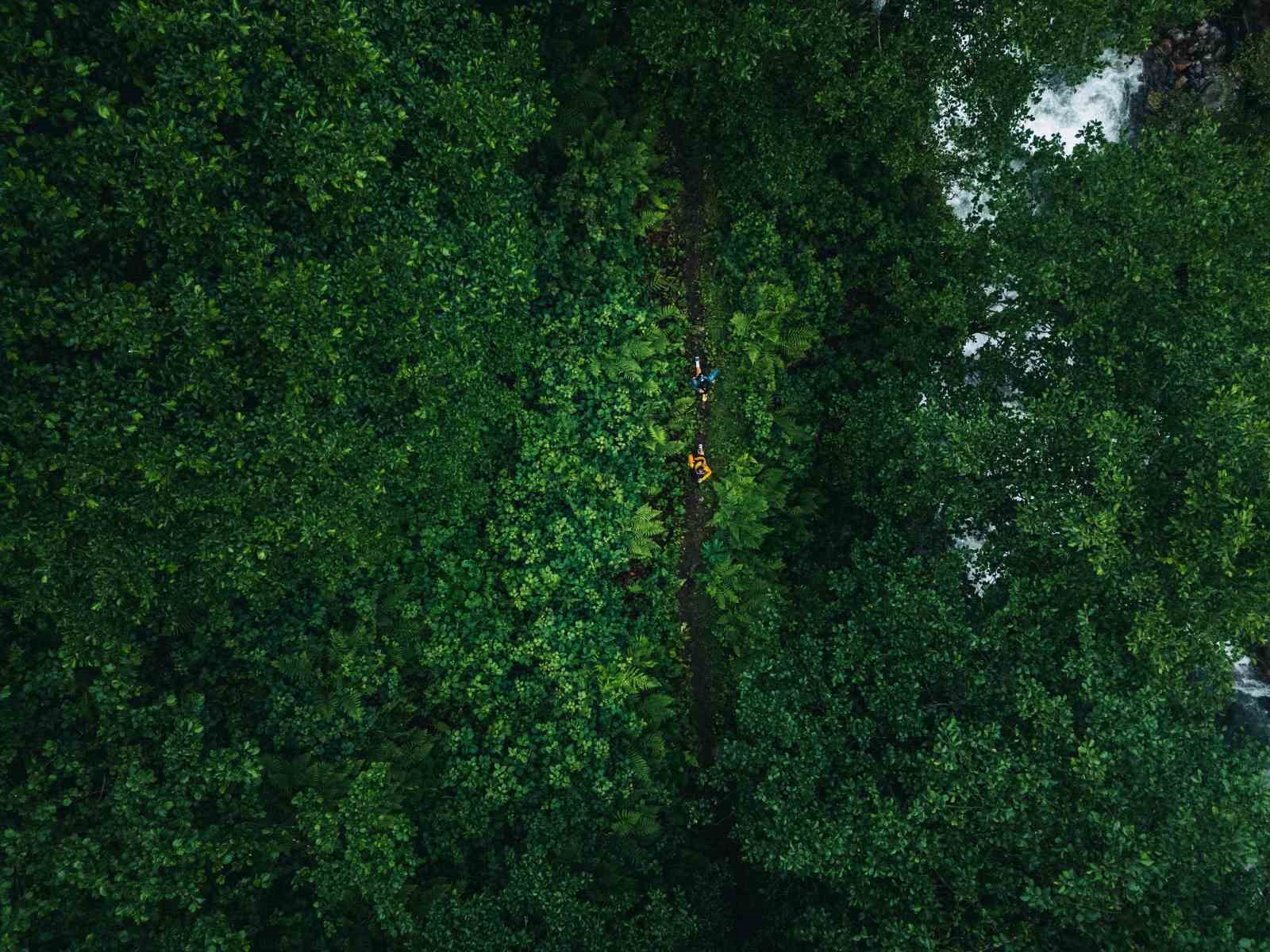 Ahmet Temurci, Rize’de düzenlenecek ’UTMB World Series’ hakkında bilgi verdi