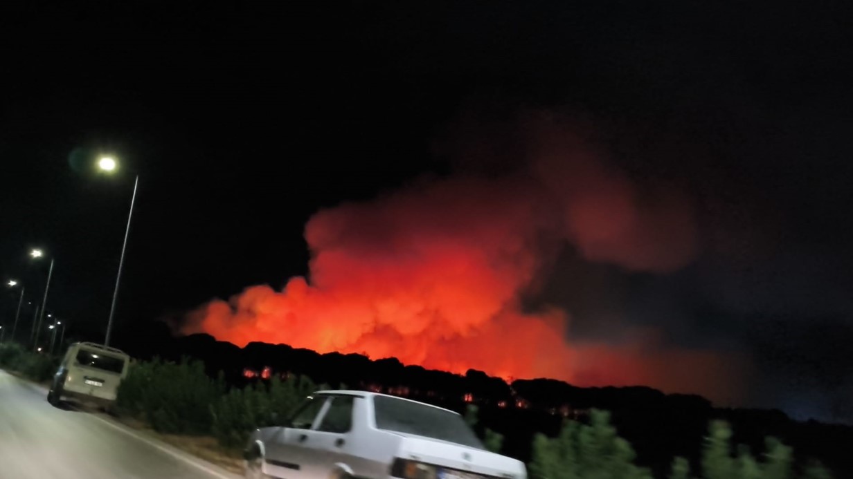 Antalya Aksu’da ormanlık alanda yangın