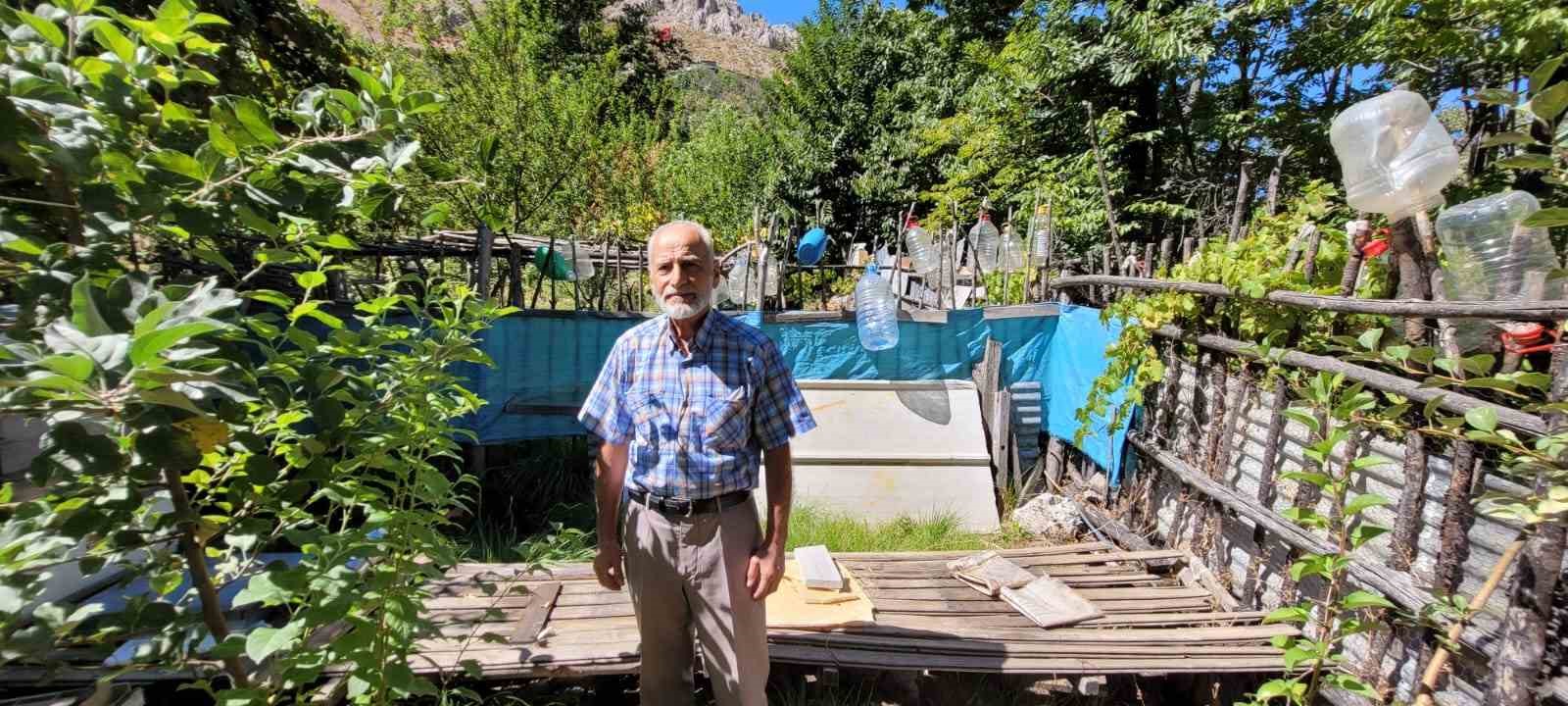 Ev ve bahçelere dadanan ayıları yetkililere şikâyet etti