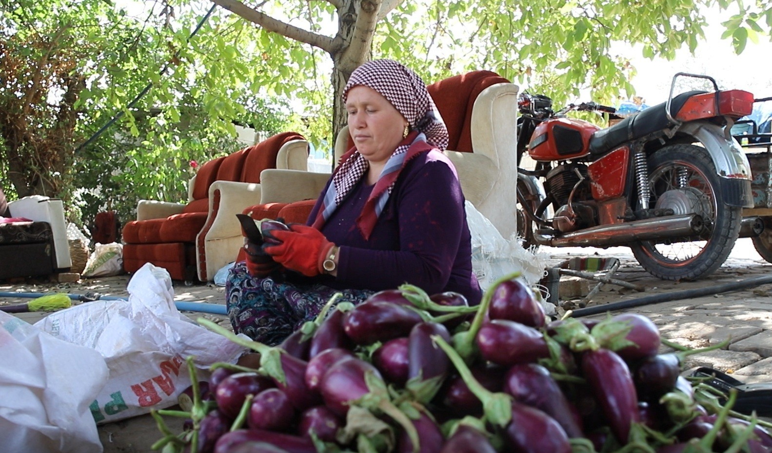 Gaziantepli kadınların kurutmalık mesaisi devam ediyor