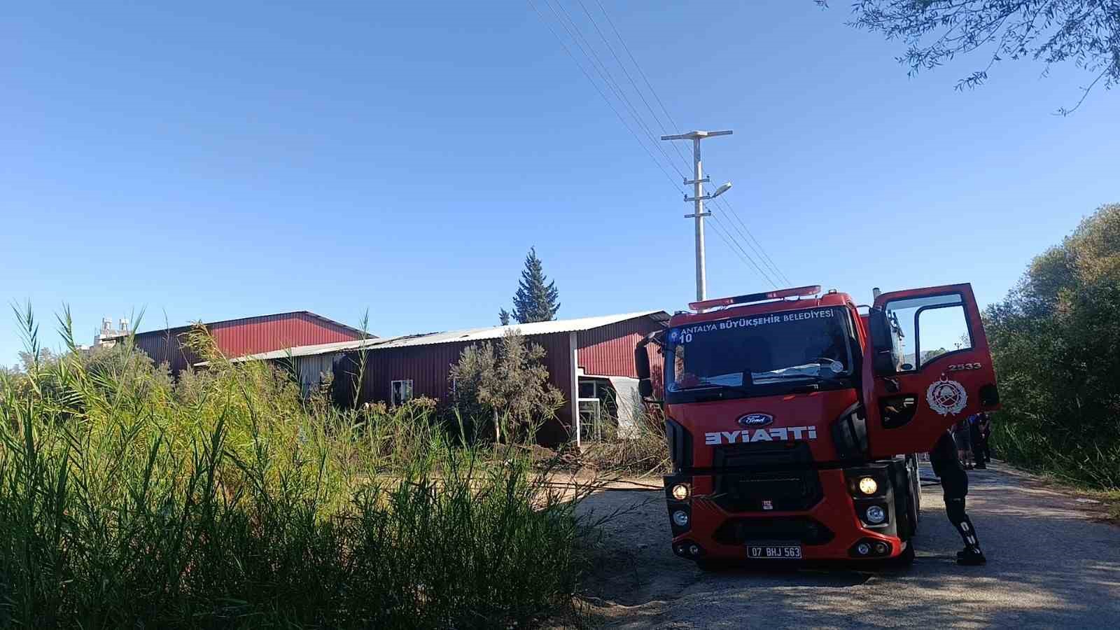 Kamışlık alanda başlayan yangın gıda toptancı deposuna sıçradı