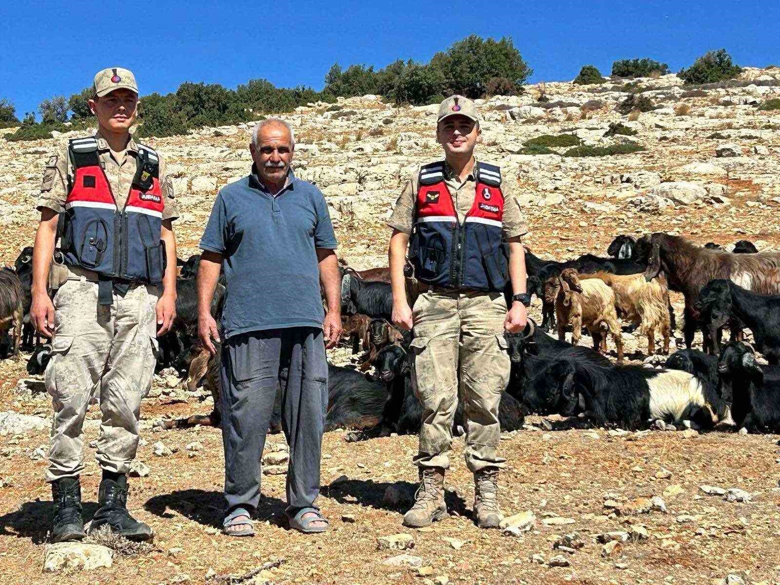 Kilis’te kaybolan 100 küçükbaş hayvan bulundu