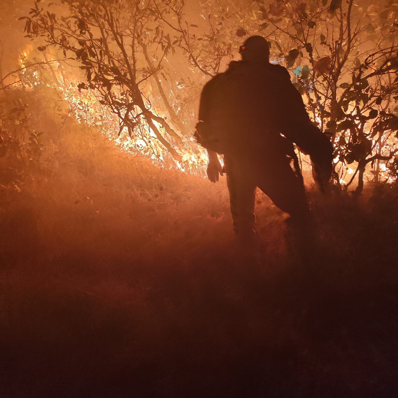 Diyarbakır’da orman yangını: Havadan ve karadan müdahale sürüyor