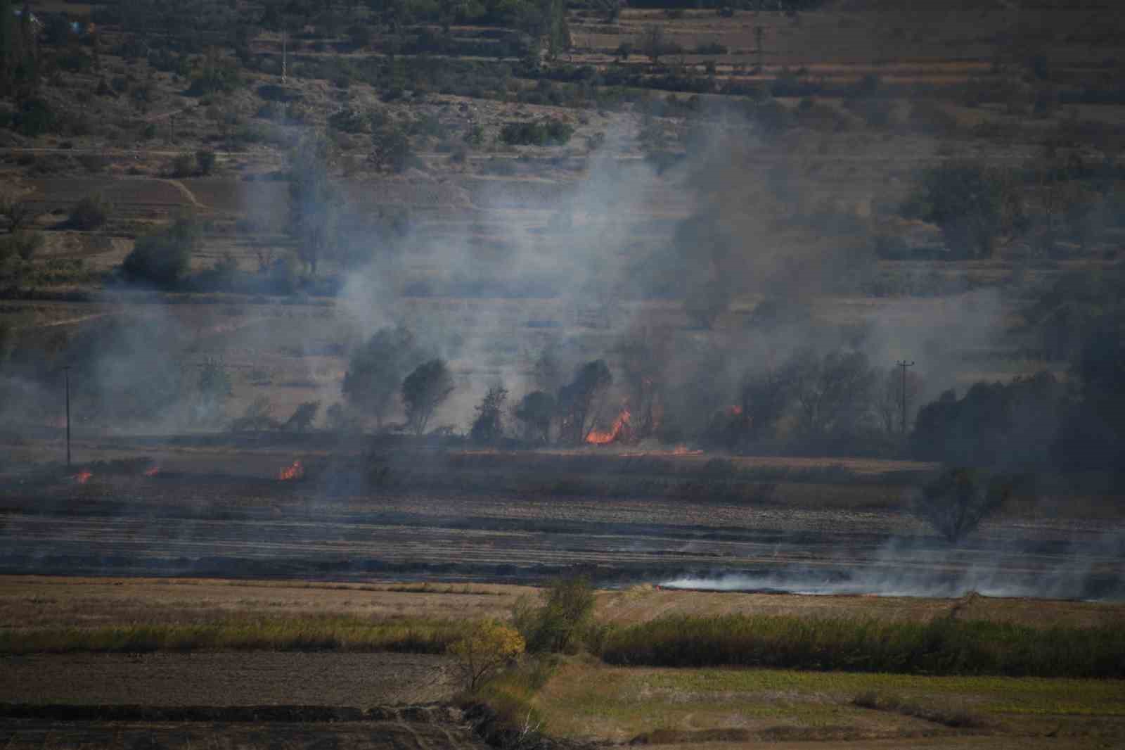 Kastamonu’da çeltik tarlasında çıkan yangın söndürüldü