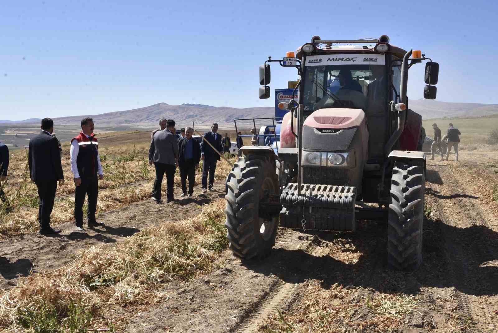 Bitlis’te kuru fasulye hasadında rekor: 37 bin ton üretim