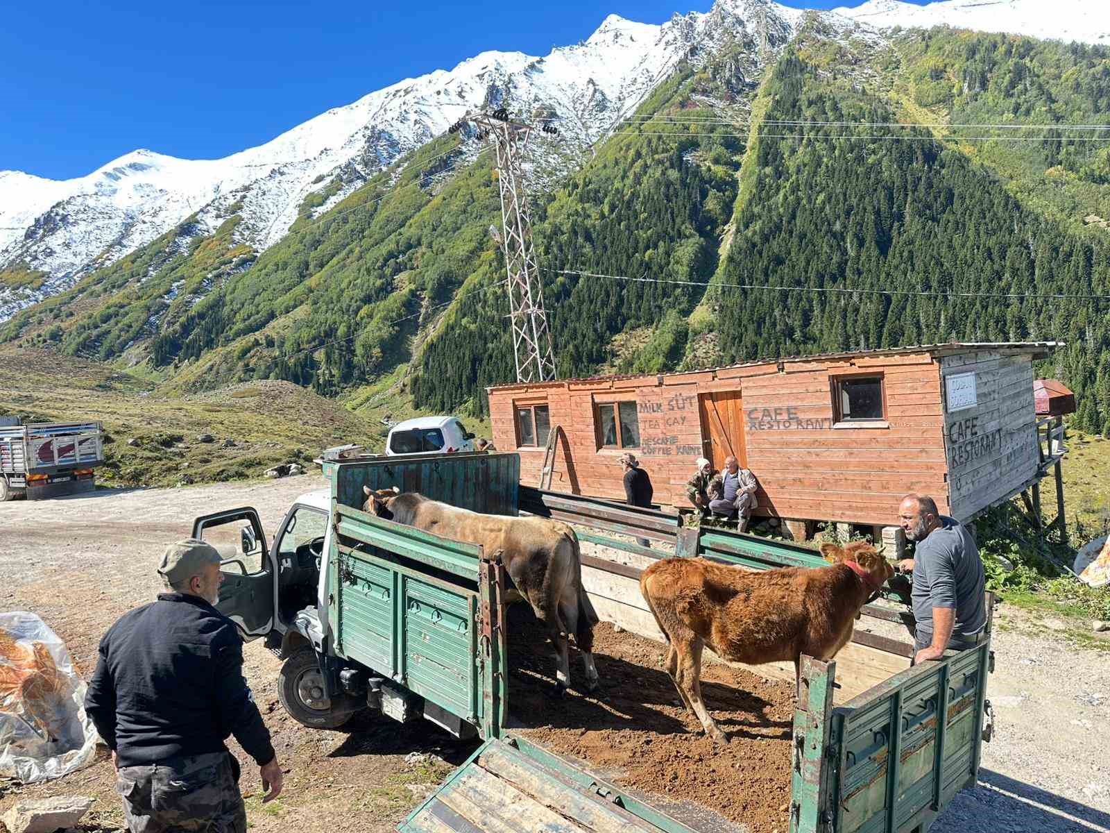 Rize’de yaylalardan dönüş erken başladı