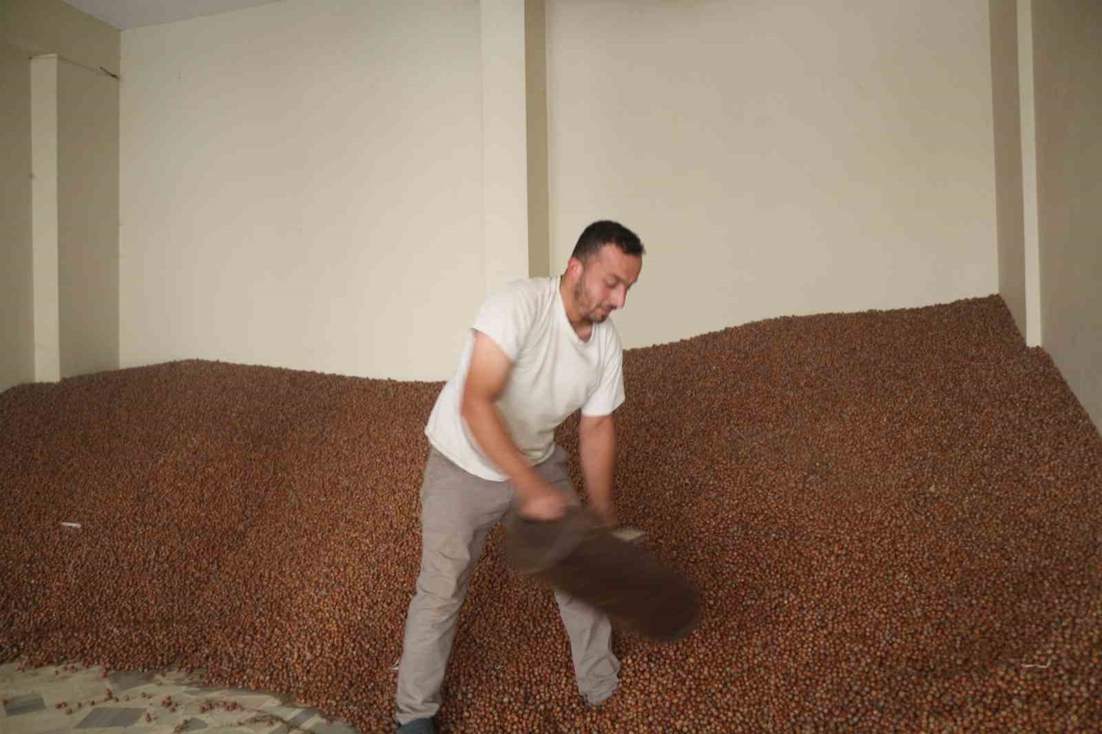 Tüccarlar fındık fiyatı konusunda farklı görüşte