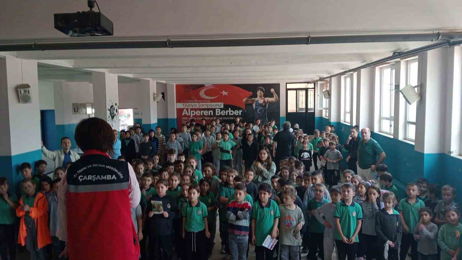 Çarşamba’da tarımda koruma ve mücadele çalışmaları