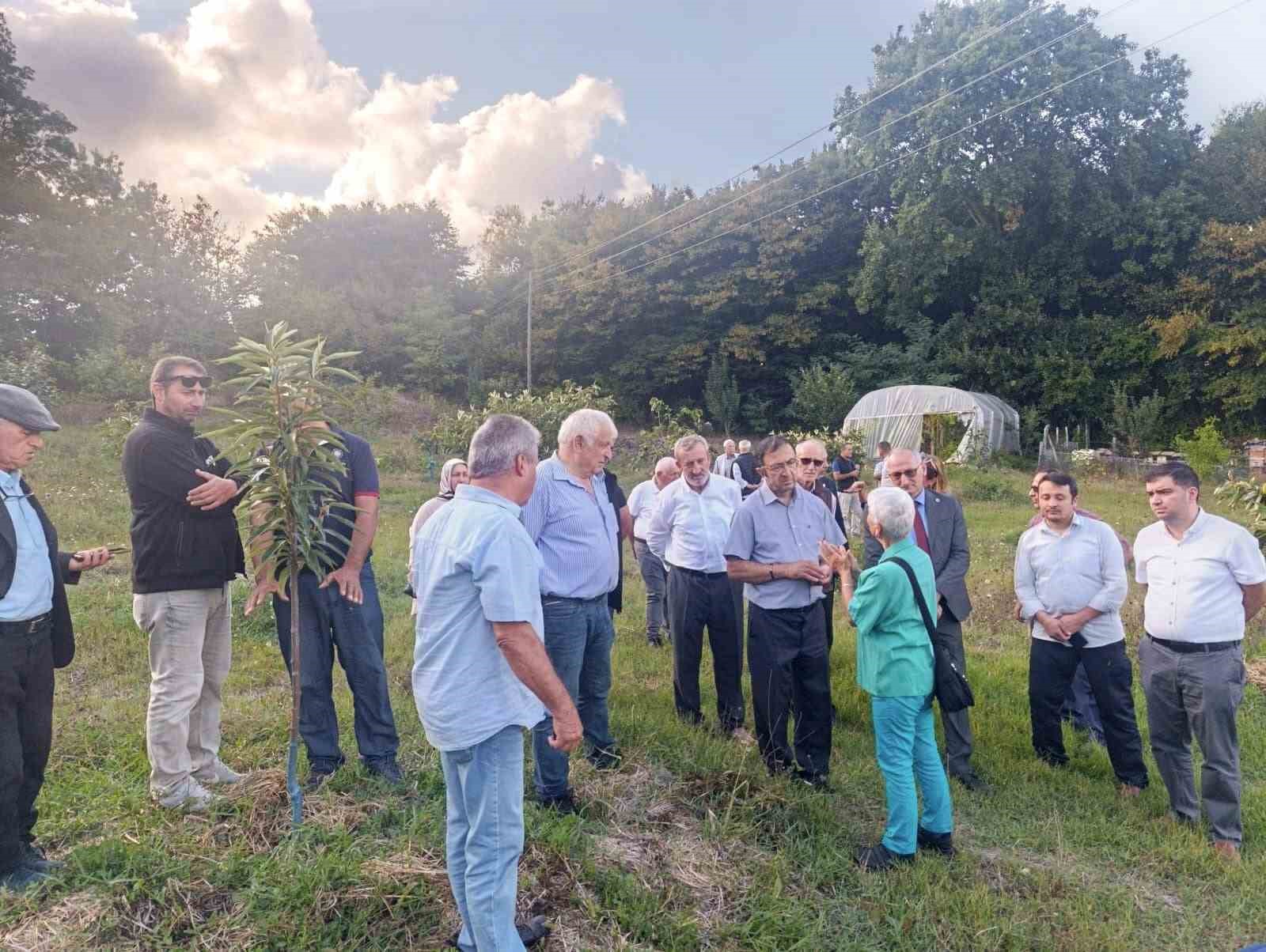 Arıcılar ve akademisyenler kestane balının geleceğini konuştu