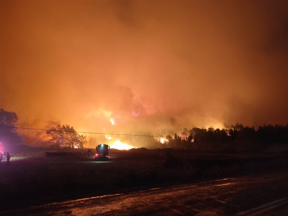 Bursa’da orman yangını...Rüzgarın etkisiyle büyüdü