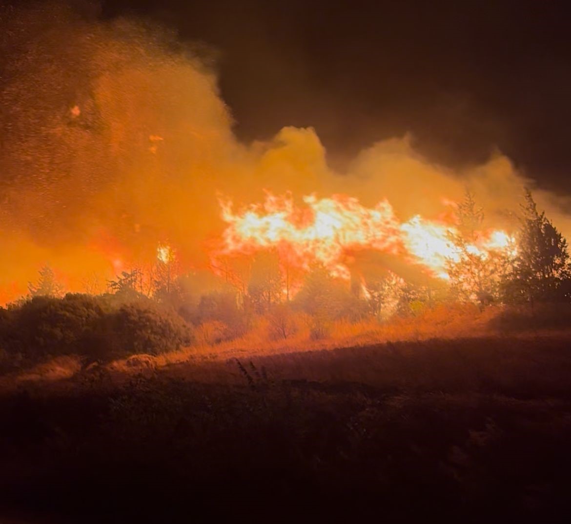 Bursa’daki orman yangını Akçasusurluk köyüne yaklaştı, yerleşim alanları boşaltıldı