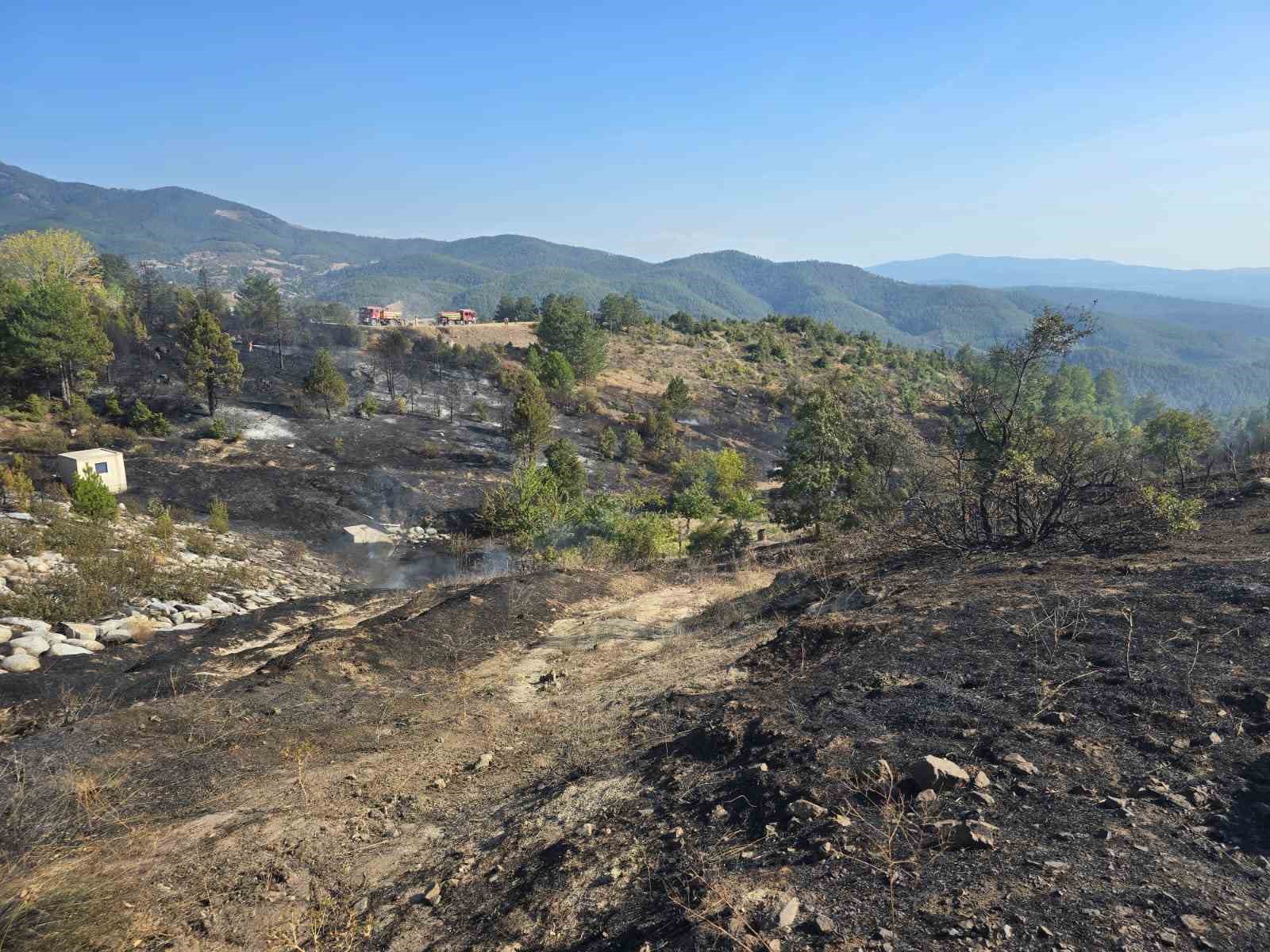 Ormanda piknik keyfi, faciaya sebep oluyordu...