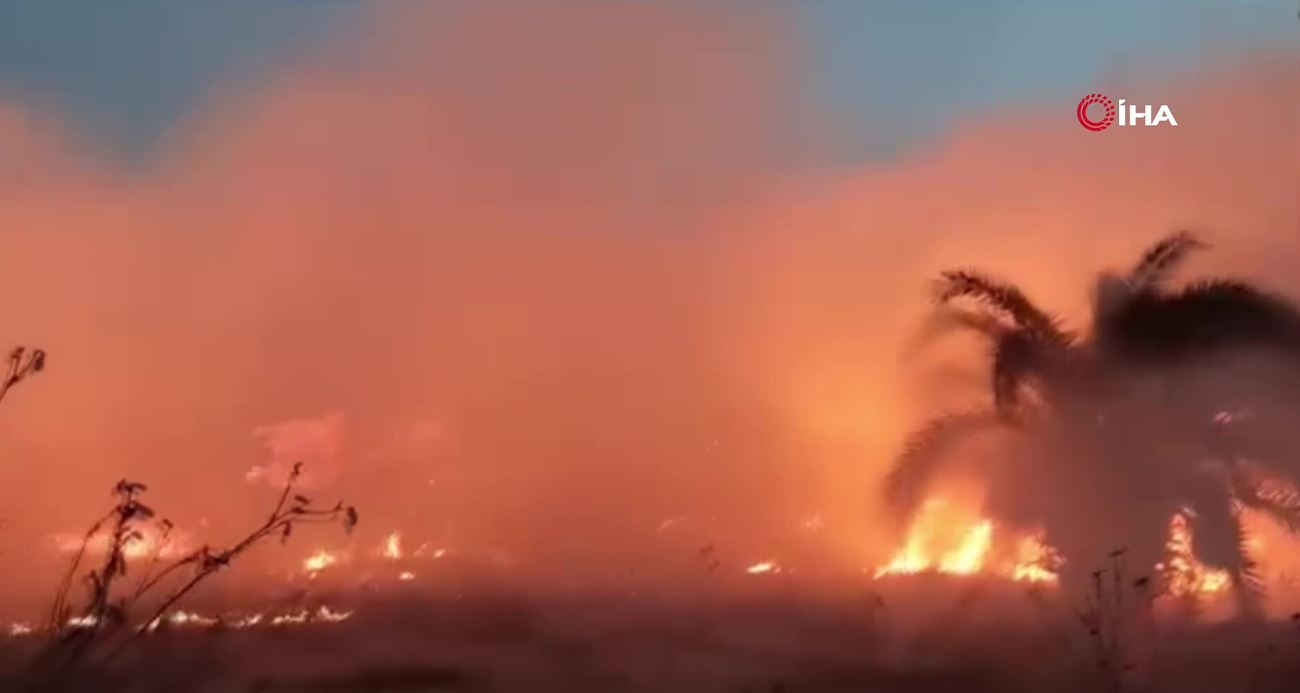 Küçükçekmece’de otluk arazide korkutan yangın
