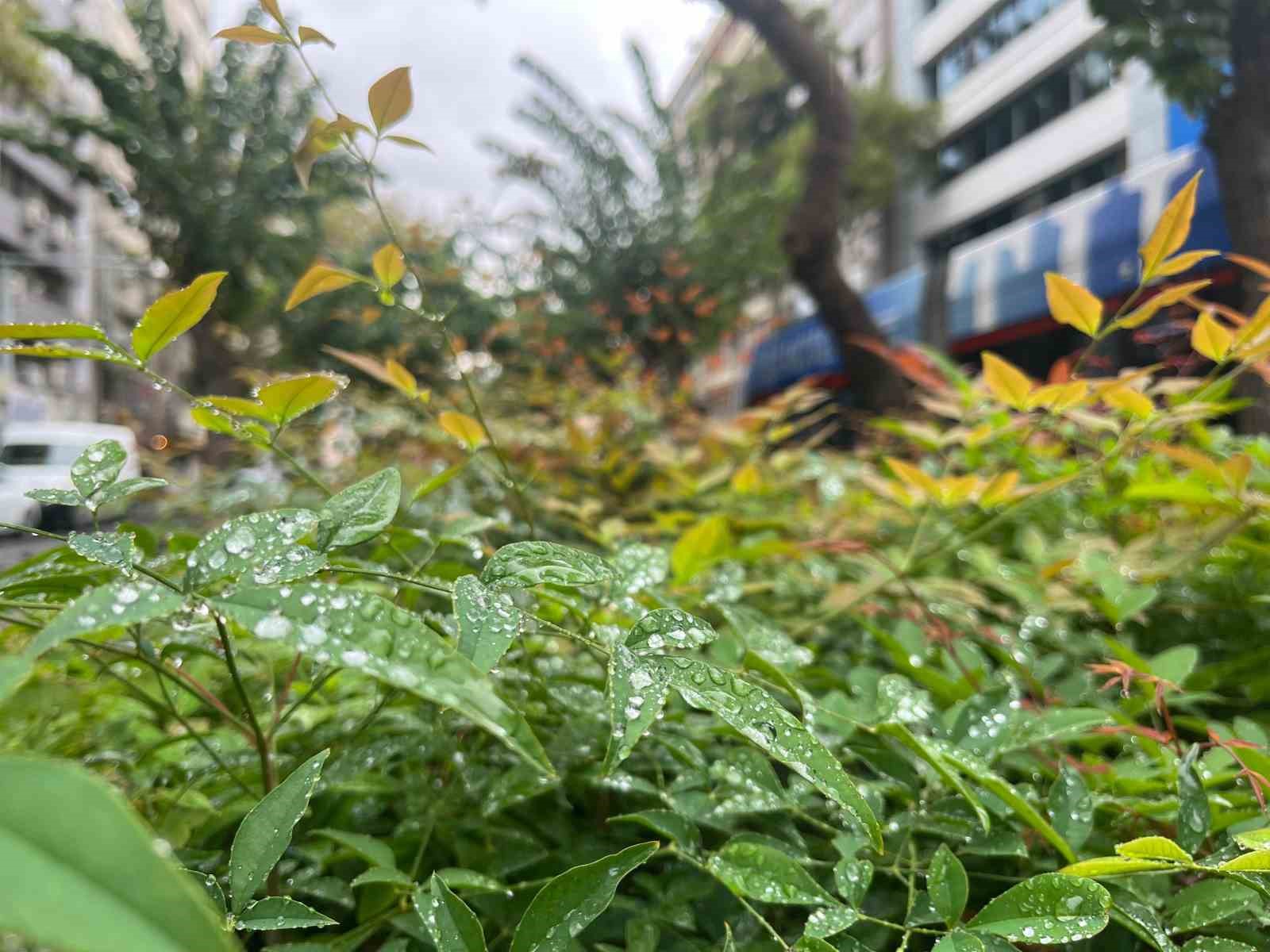 Kuraklıkla mücadele eden İzmir’de yağmur serinliği