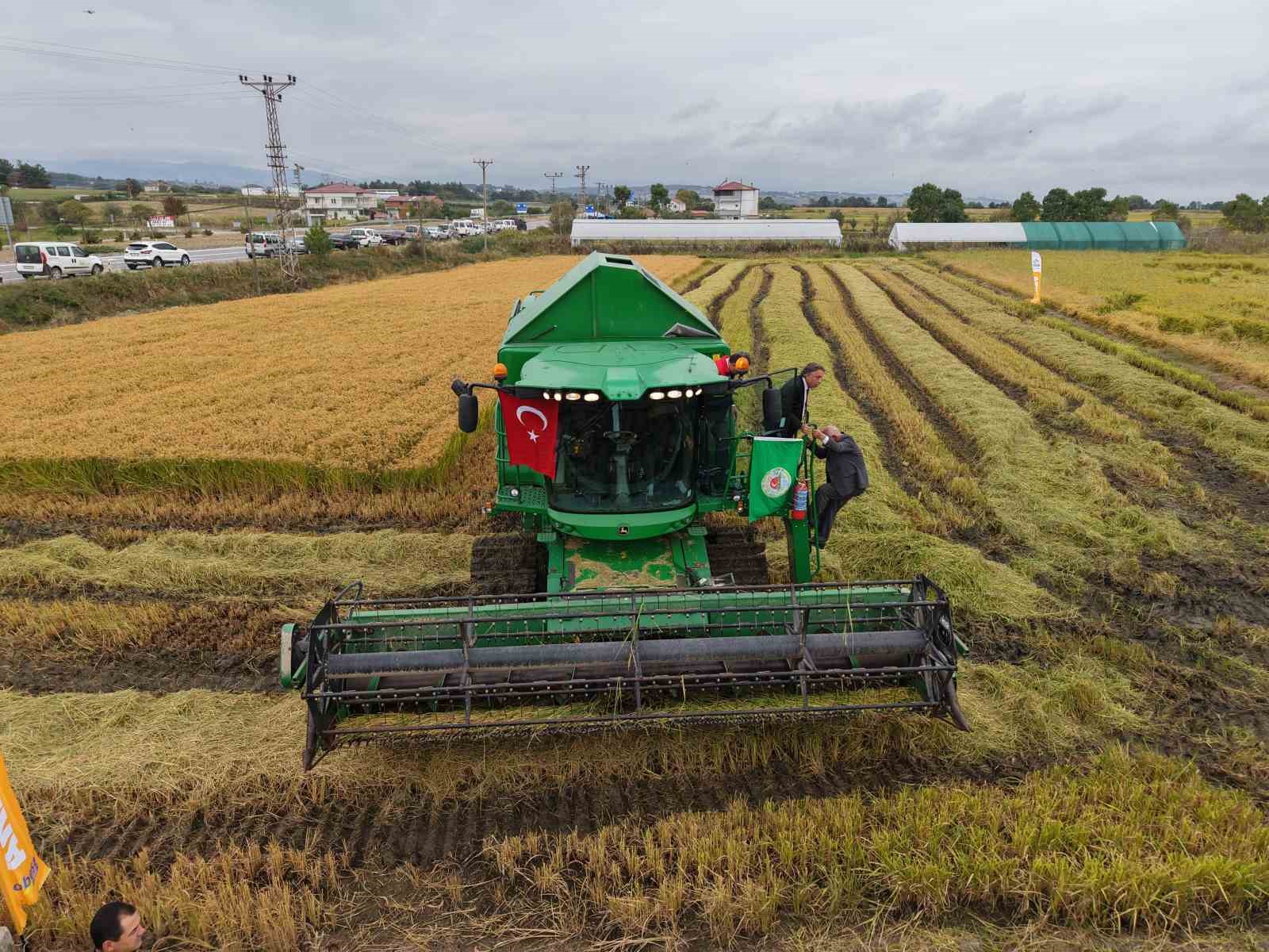 Bafra Ovası’nda çeltik hasadı başladı