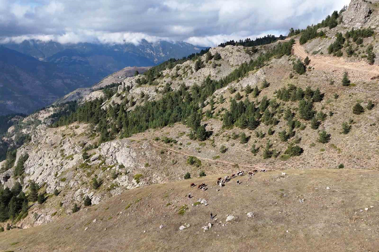 Gümüşhane’de genç muhtarın Türkiye’ye ilham veren başarı hikayesi