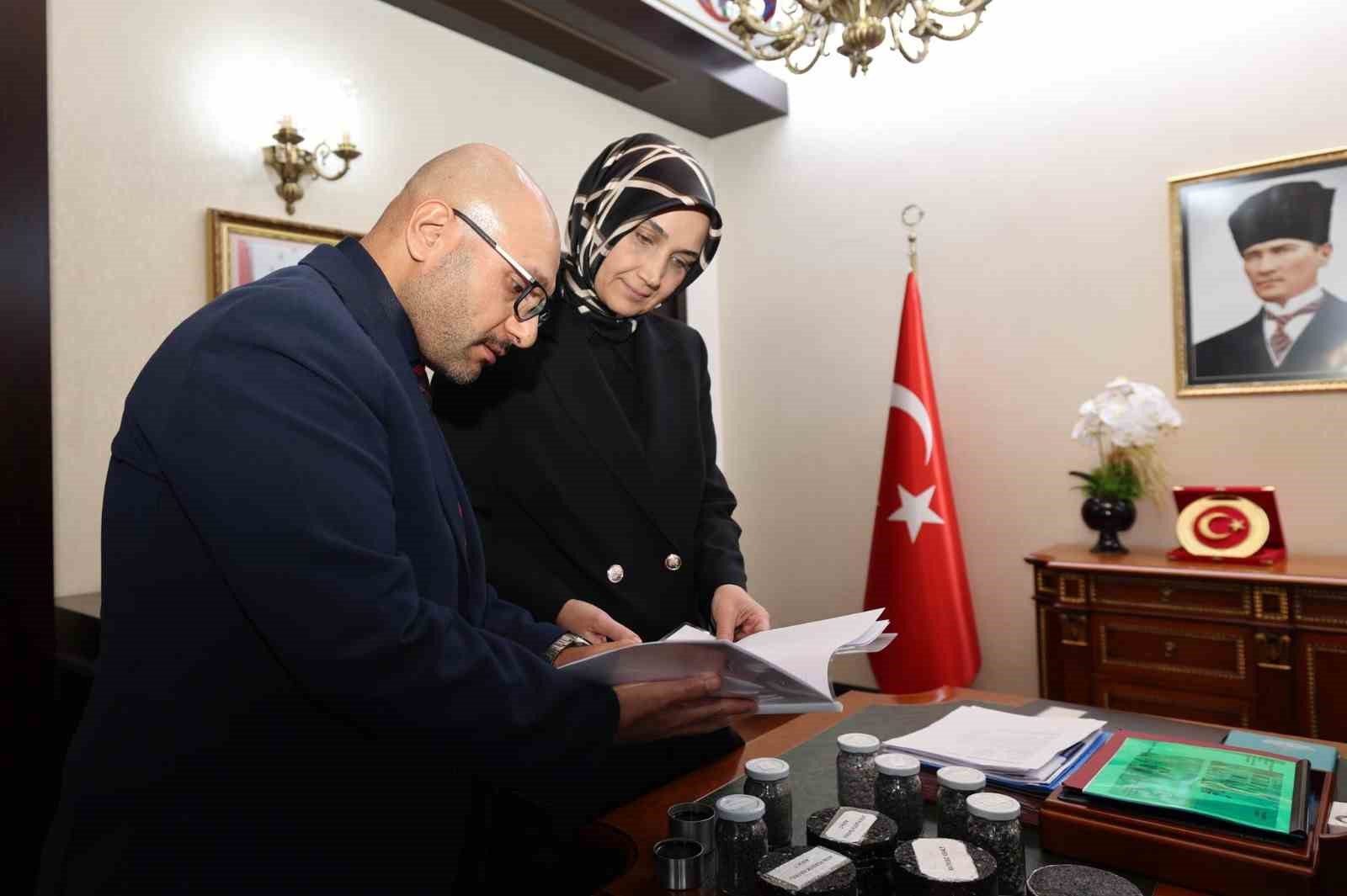 Plastik atıklardan asfalt yapılacak