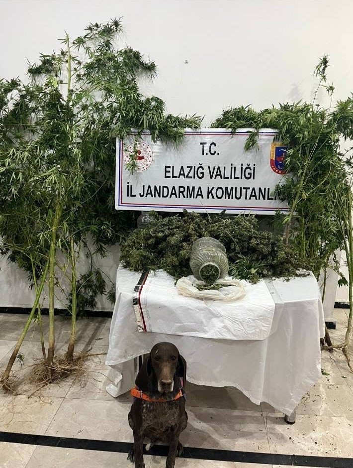 Elazığ’da uyuşturucuyla mücadele: 1 tutuklama